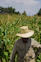A man in a hat standing in a corn field