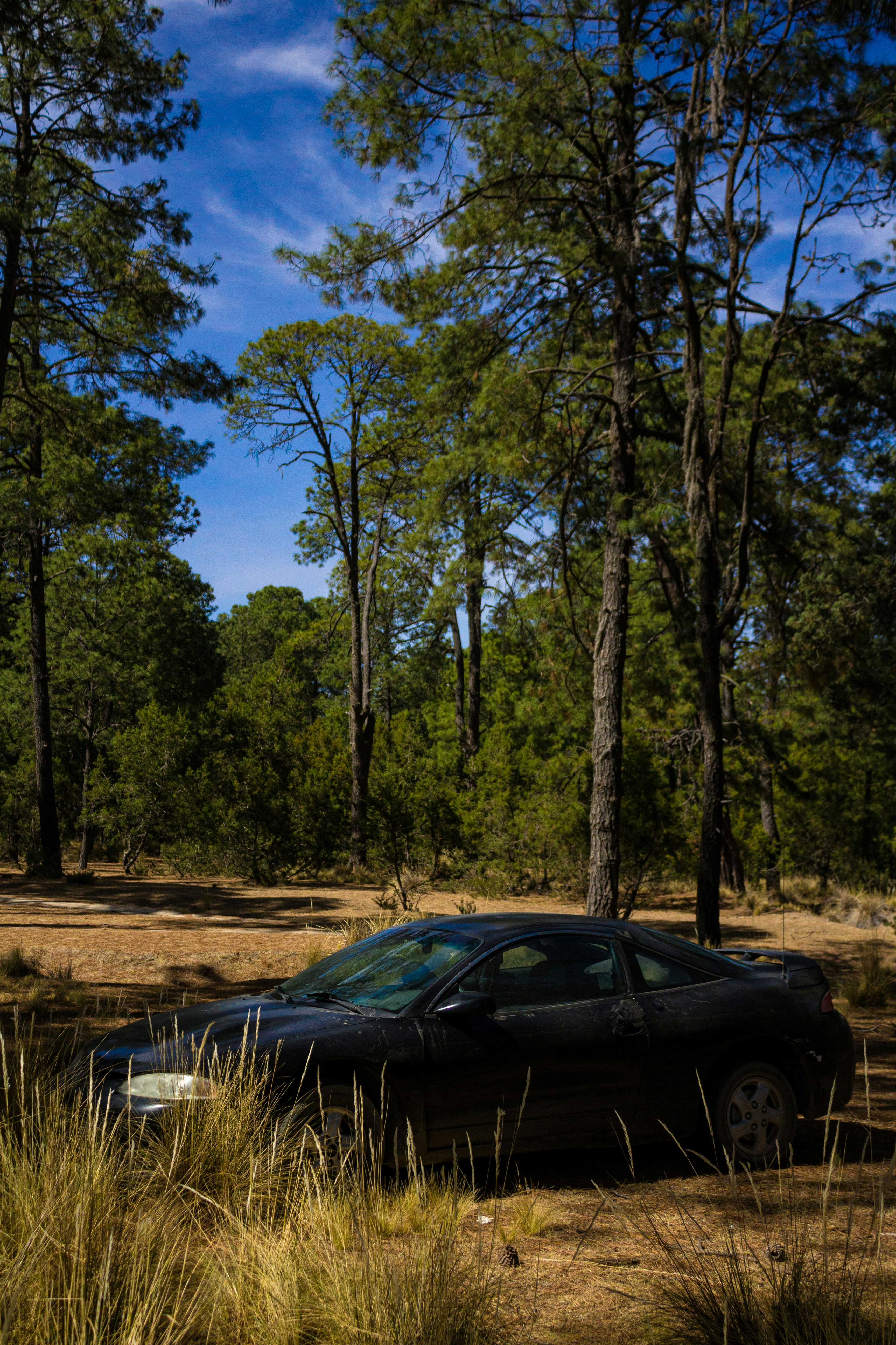 A car parked in the middle of a forest photo – Free Car Image on Unsplash