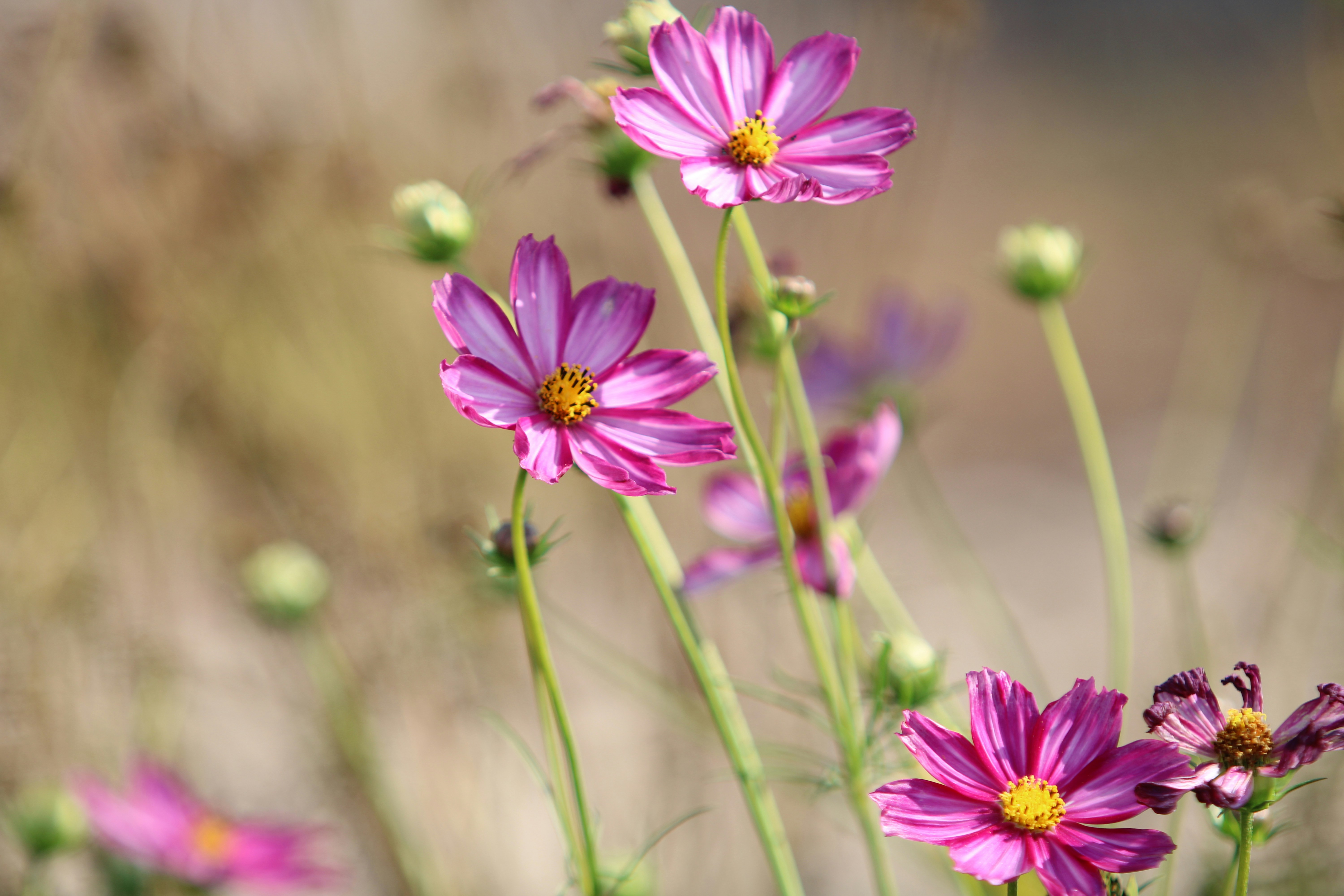 Photo by marie_martin1