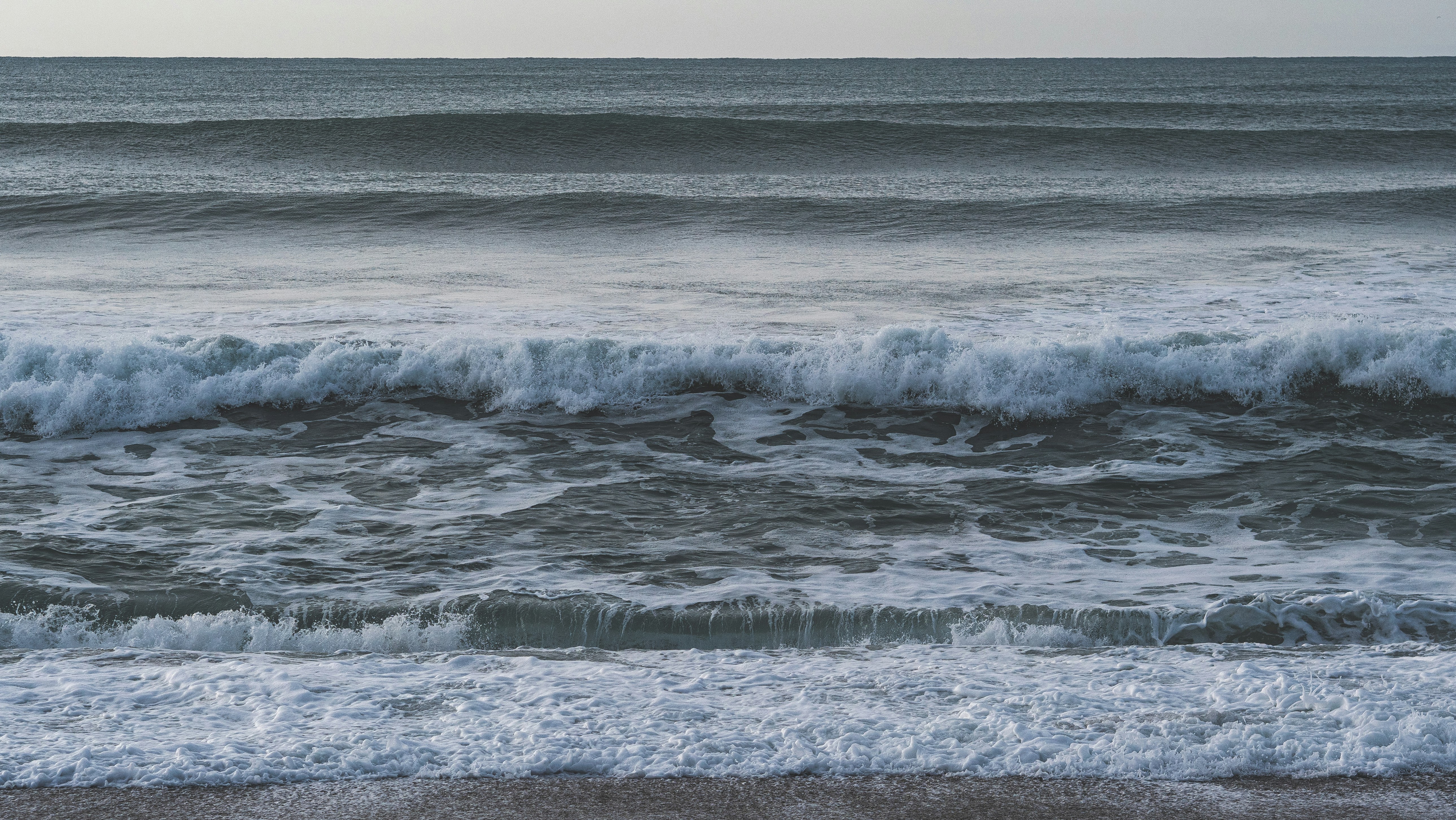 Photo by tototosia