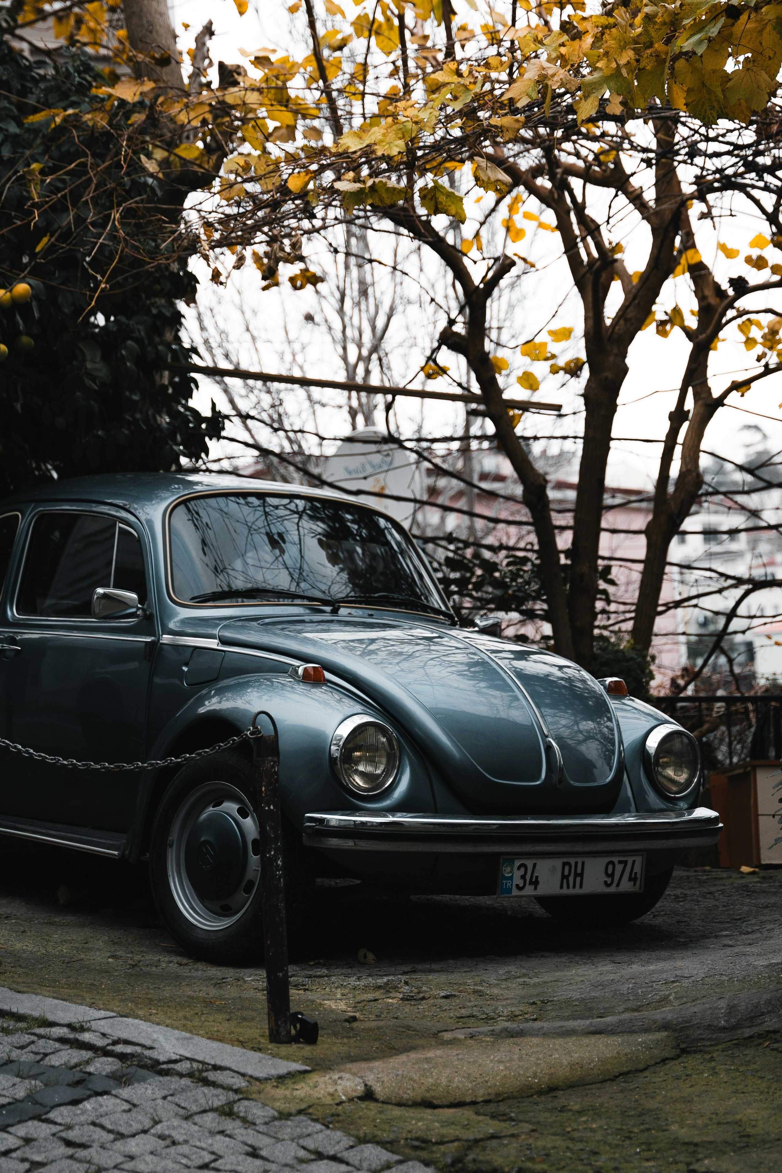 retro car wallpaper, wallpaper, Renault Clio V6: A Unique Hot Hatch 6