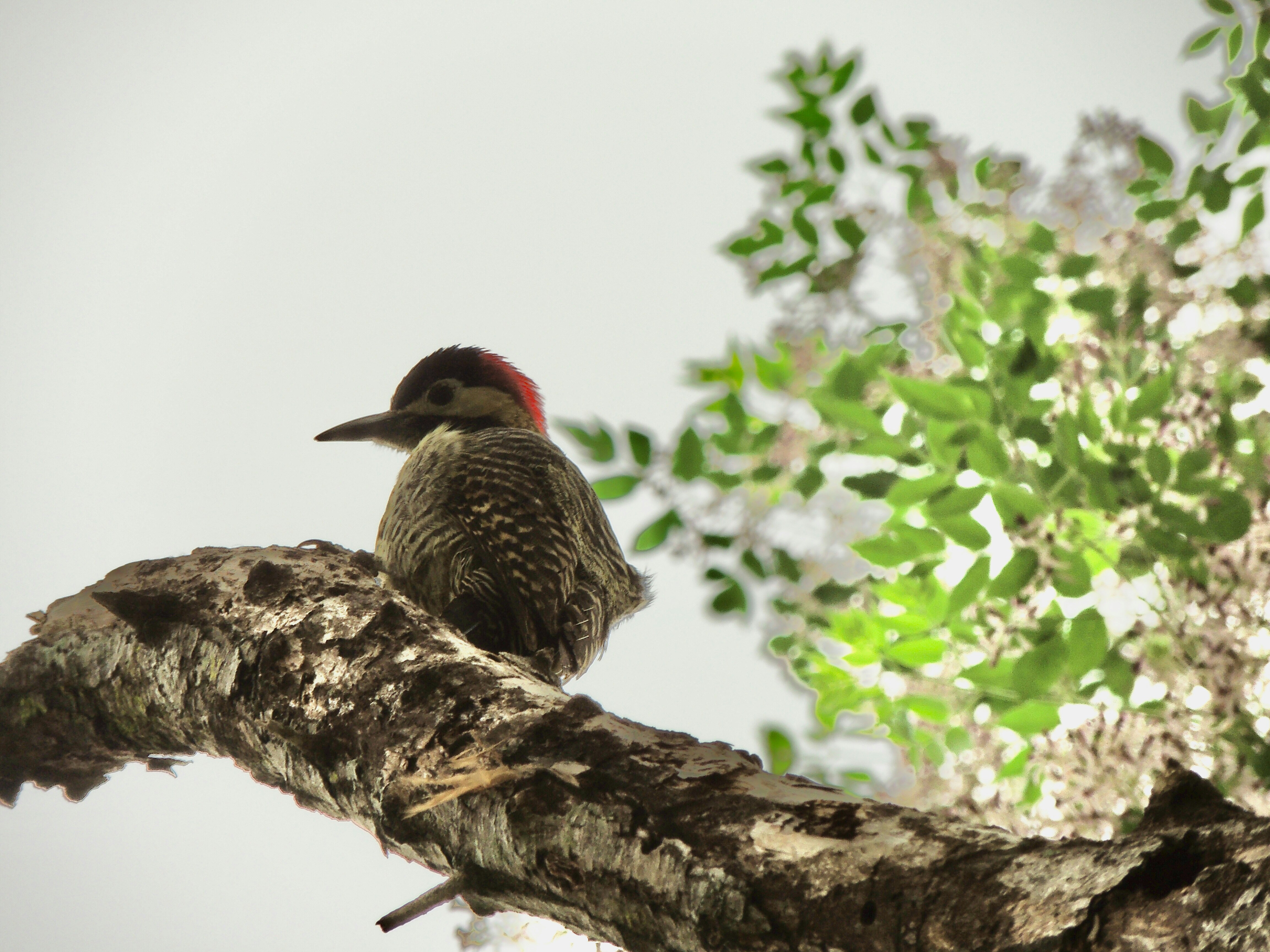 Photo by sunshinestudio82