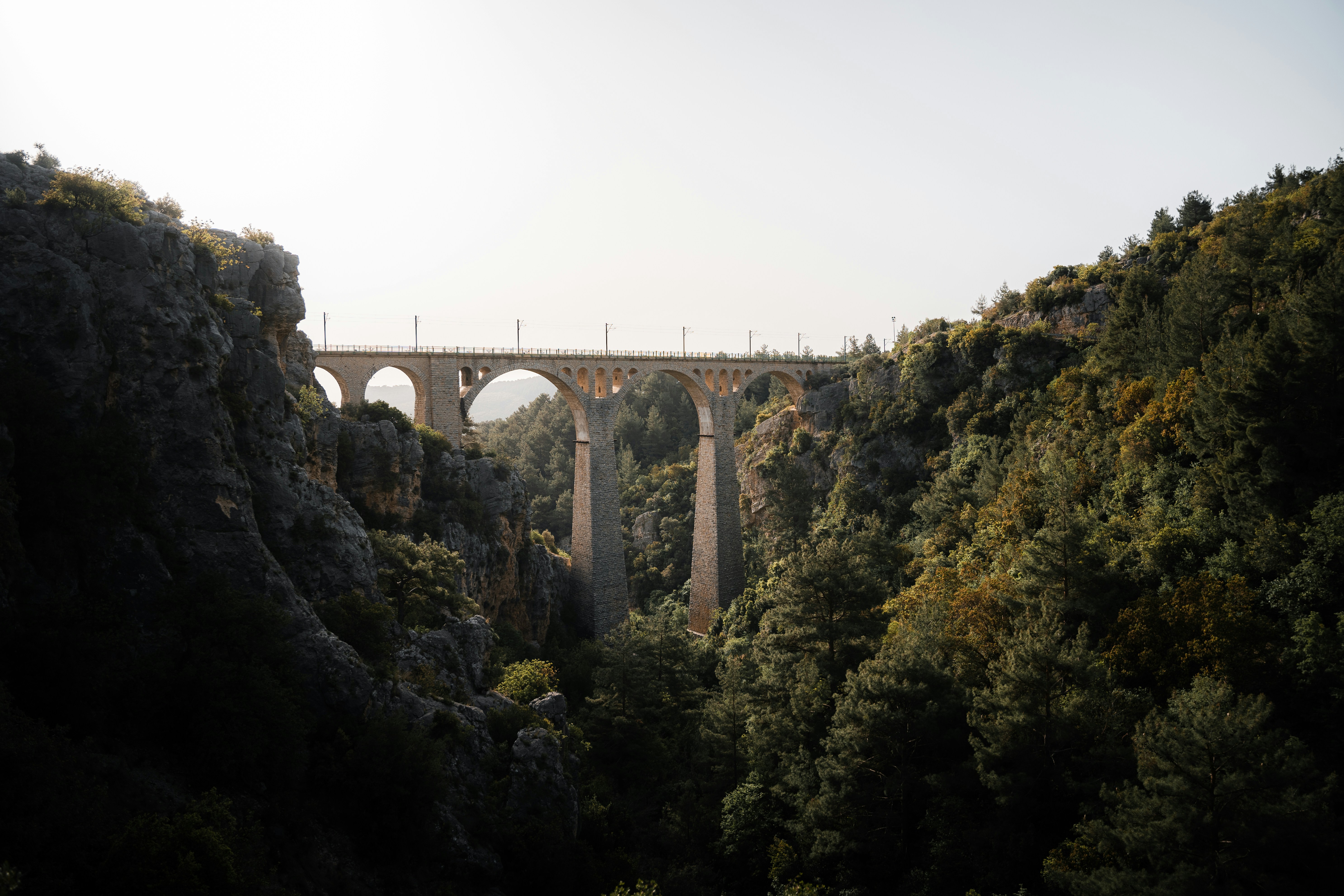 Photo by auchynnikau