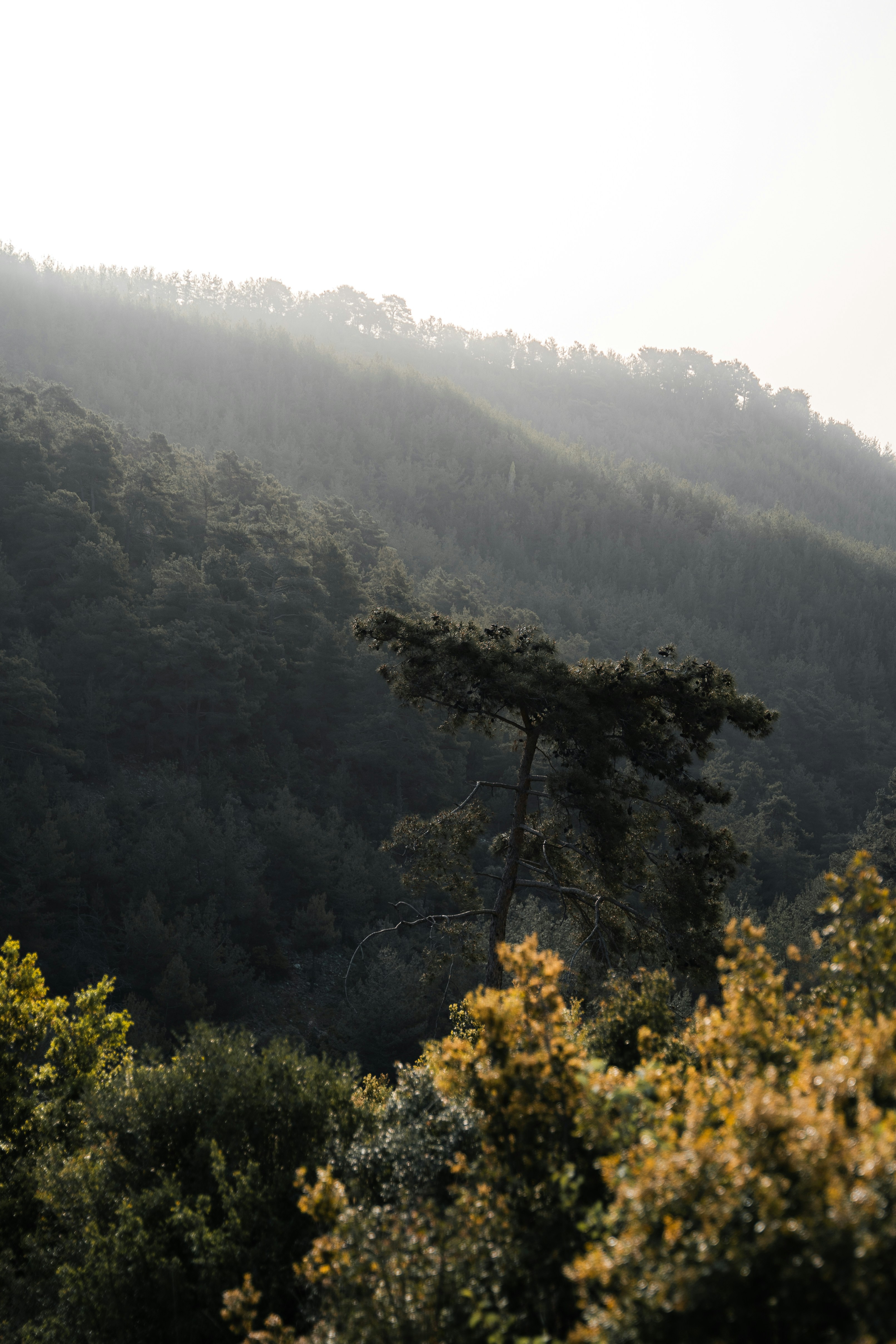 Photo by auchynnikau