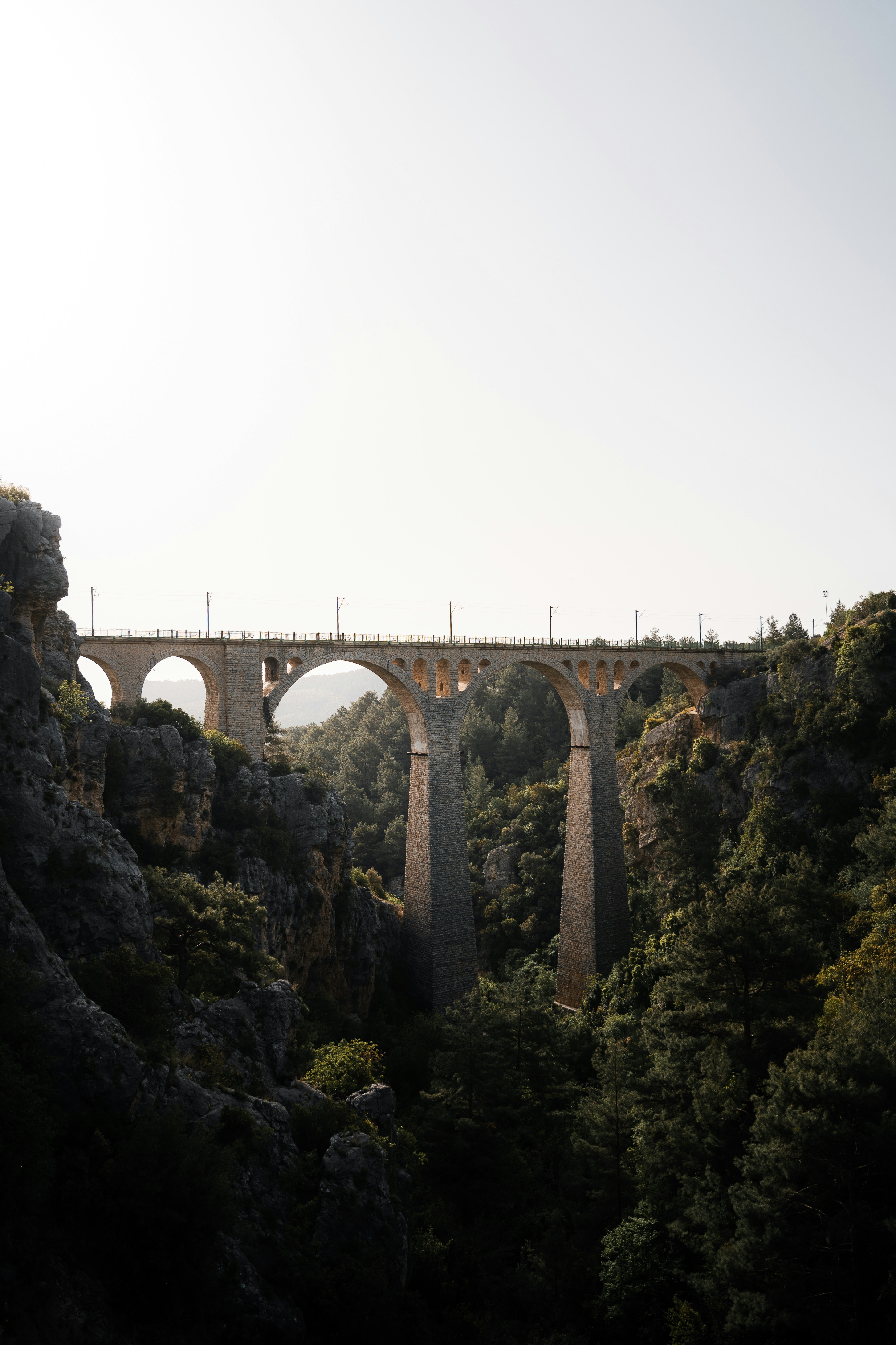 Photo by auchynnikau