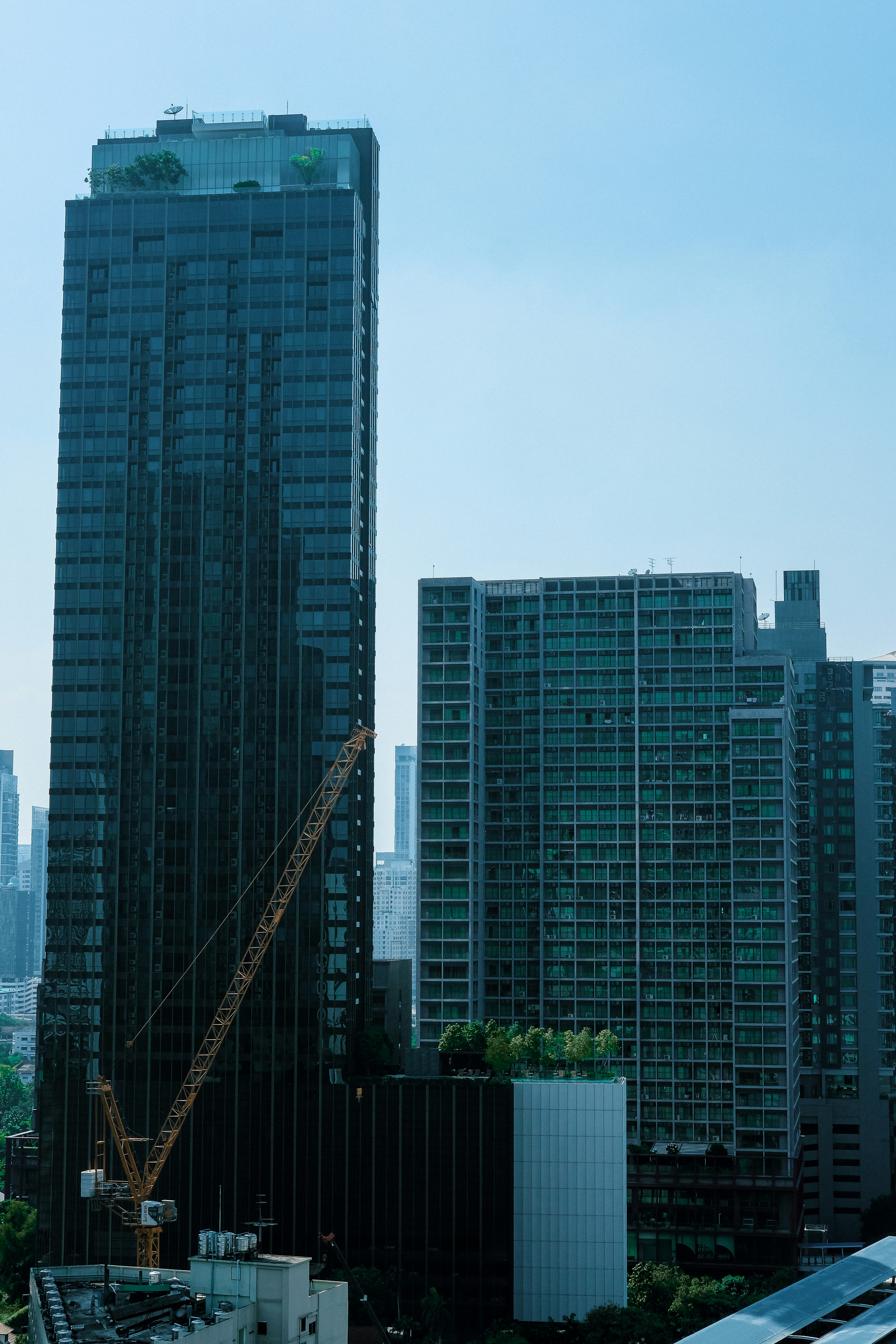 Photo by jclgraphics