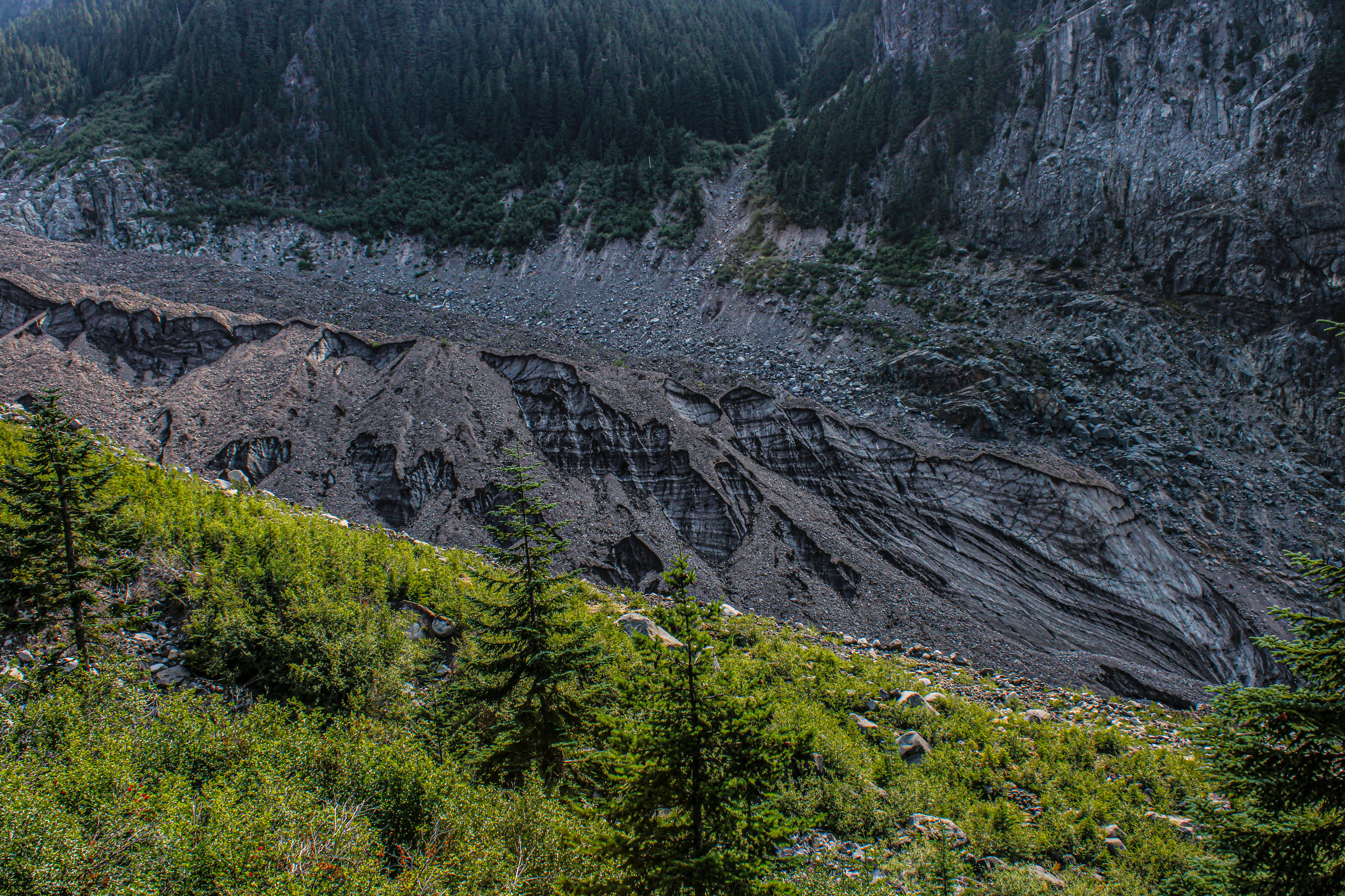 Photo by prphotography262