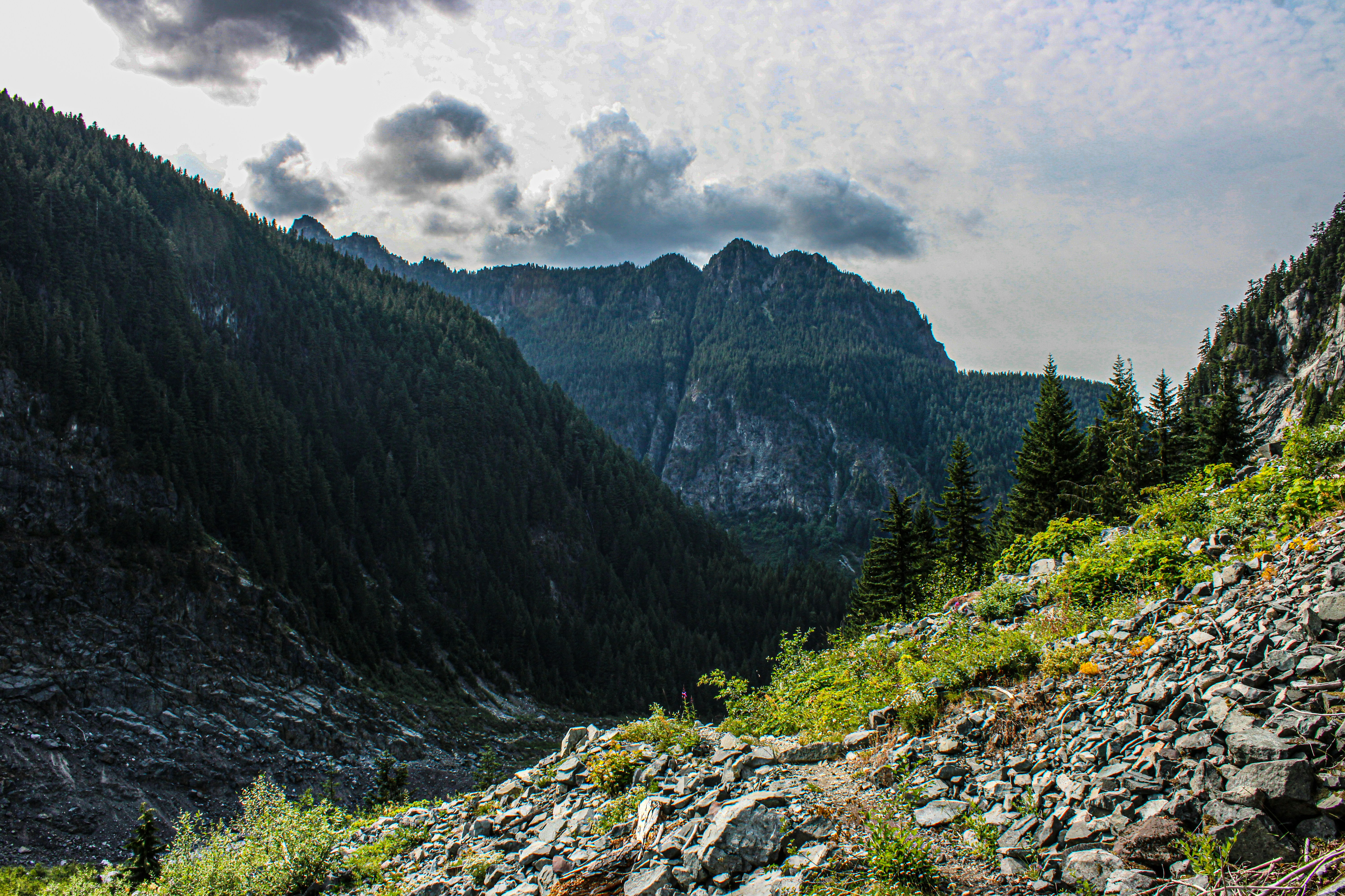 Photo by prphotography262