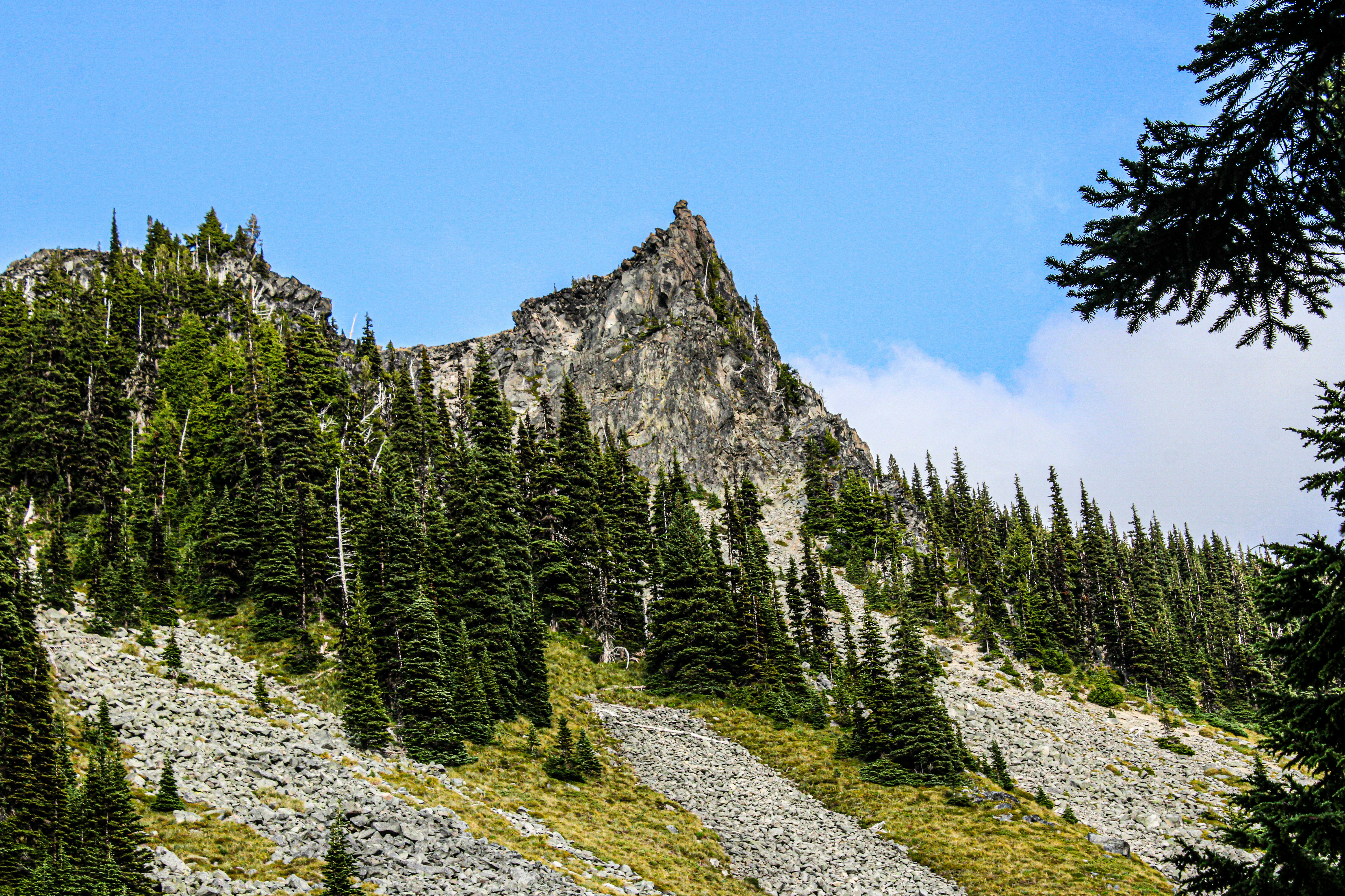 Photo by prphotography262