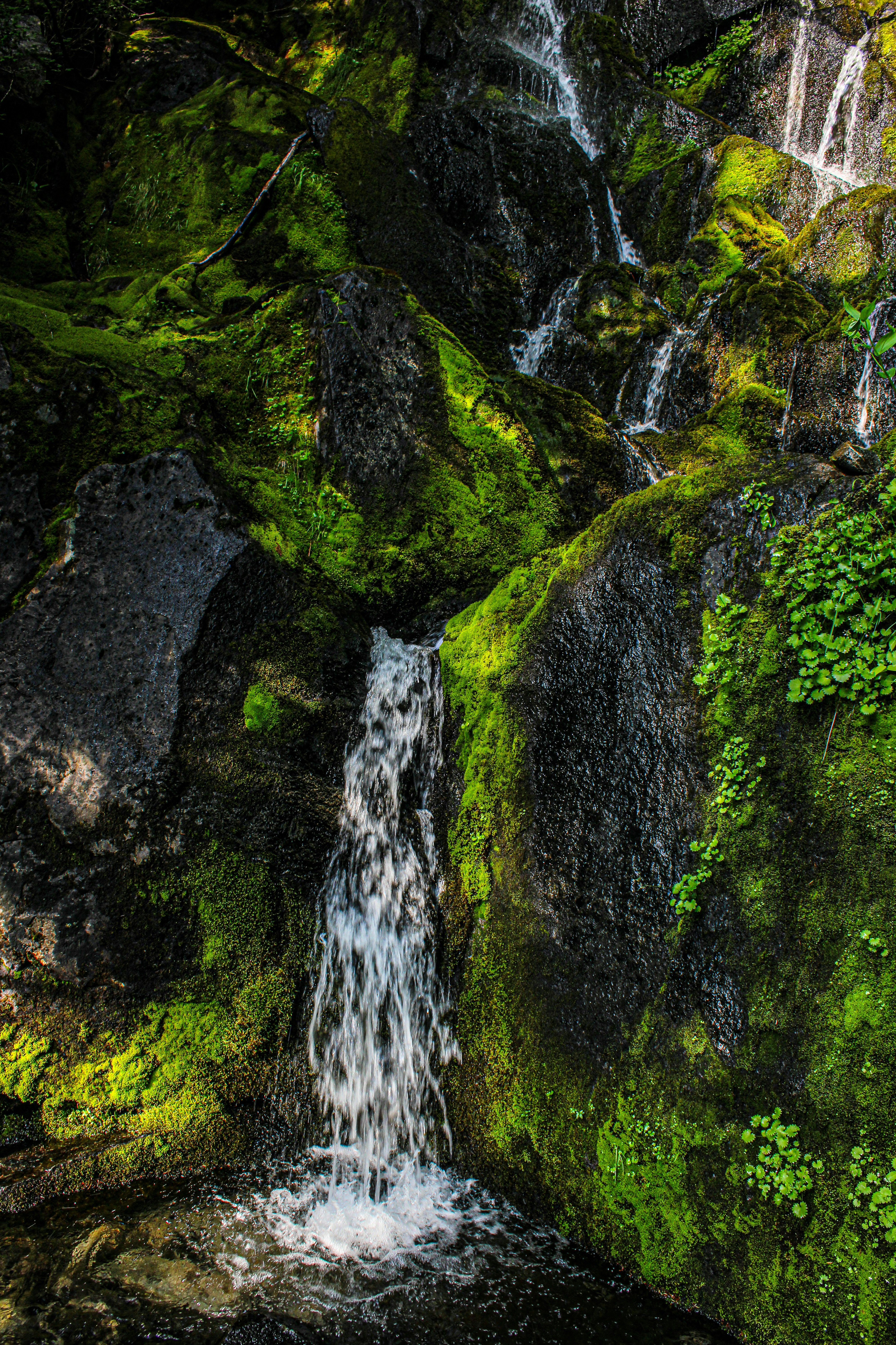 Photo by prphotography262