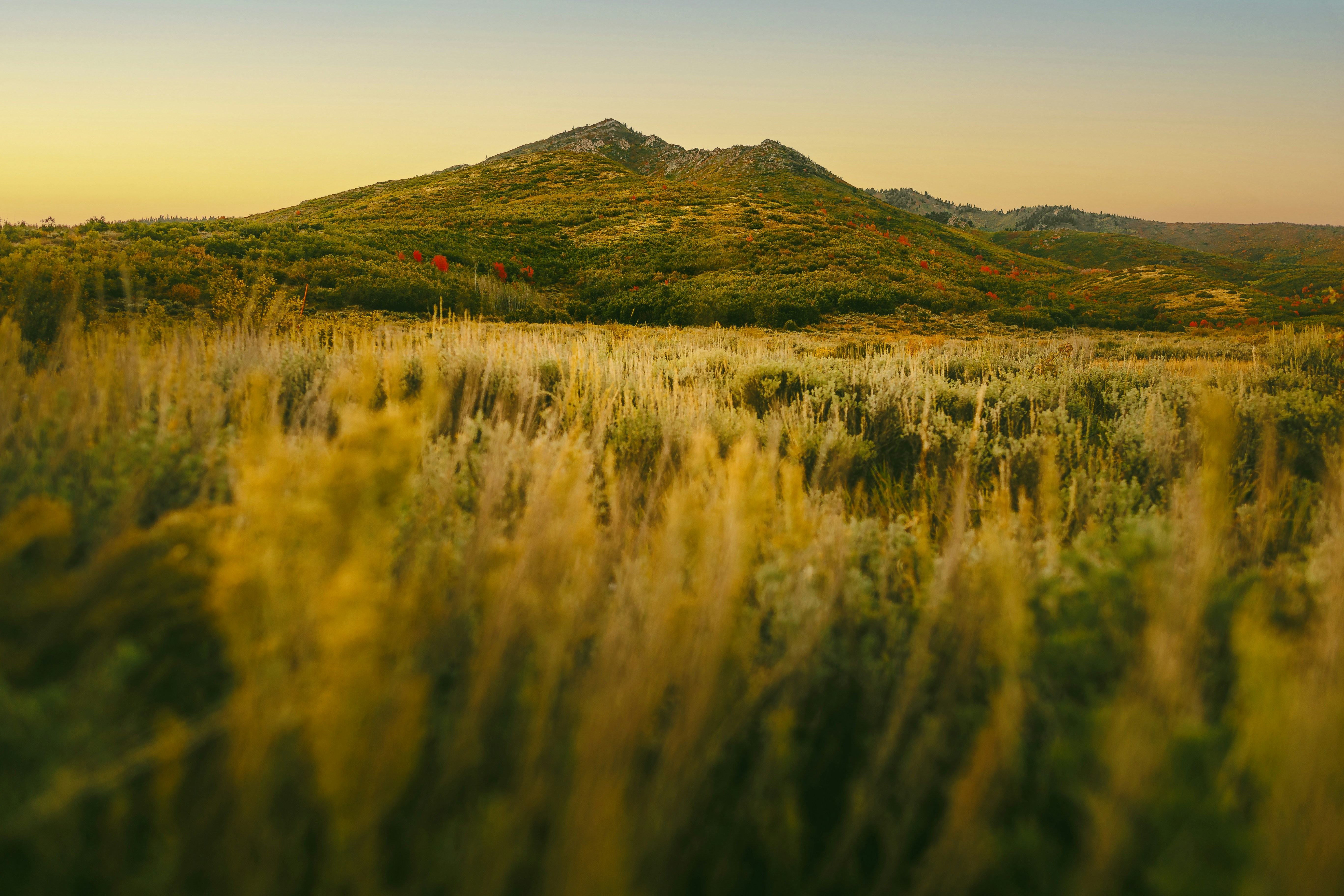 Photo by andybodemer