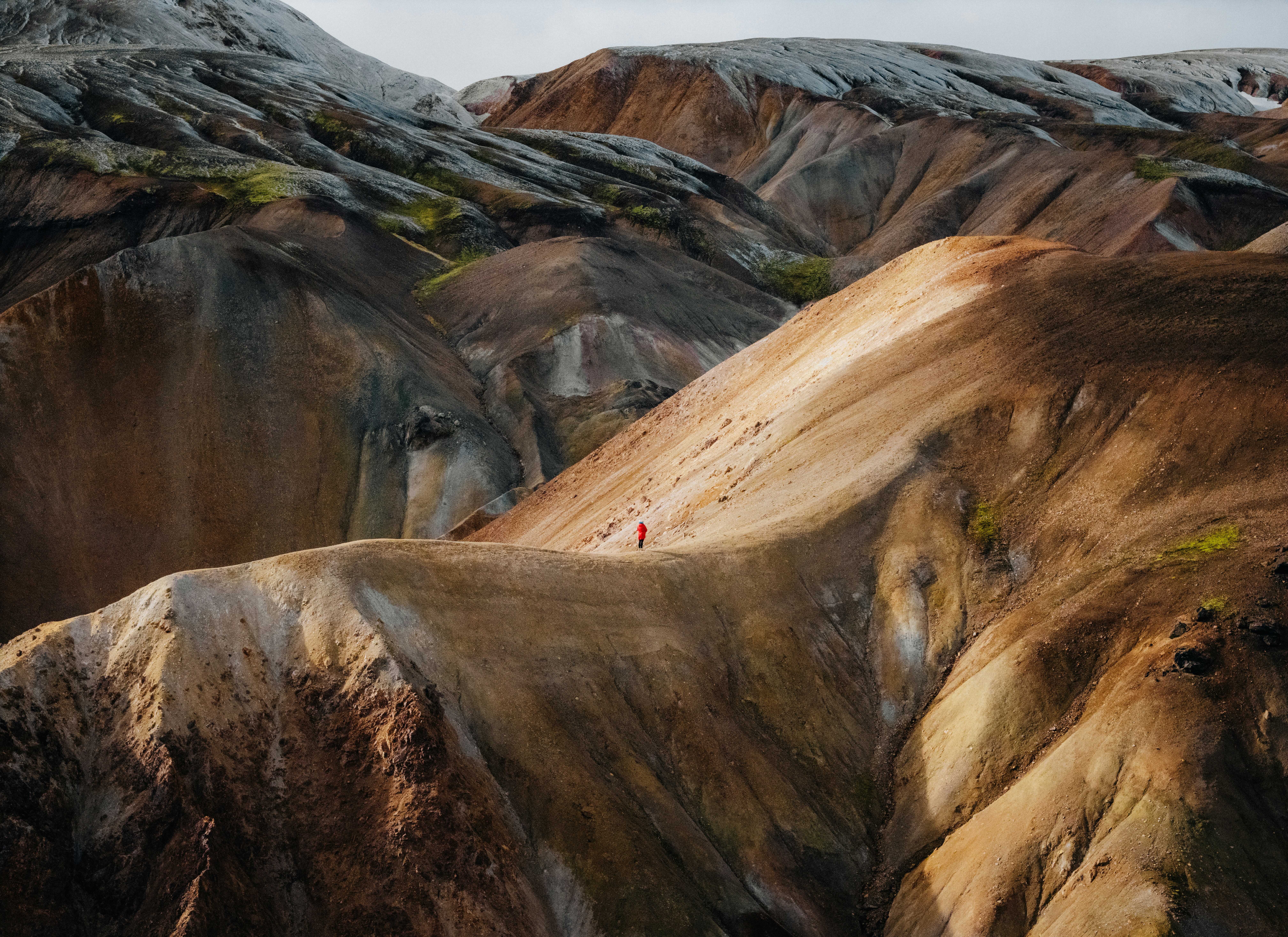 Mercado Libre Unveils Verdi: An AI Developer Platform Powered by GPT-4o