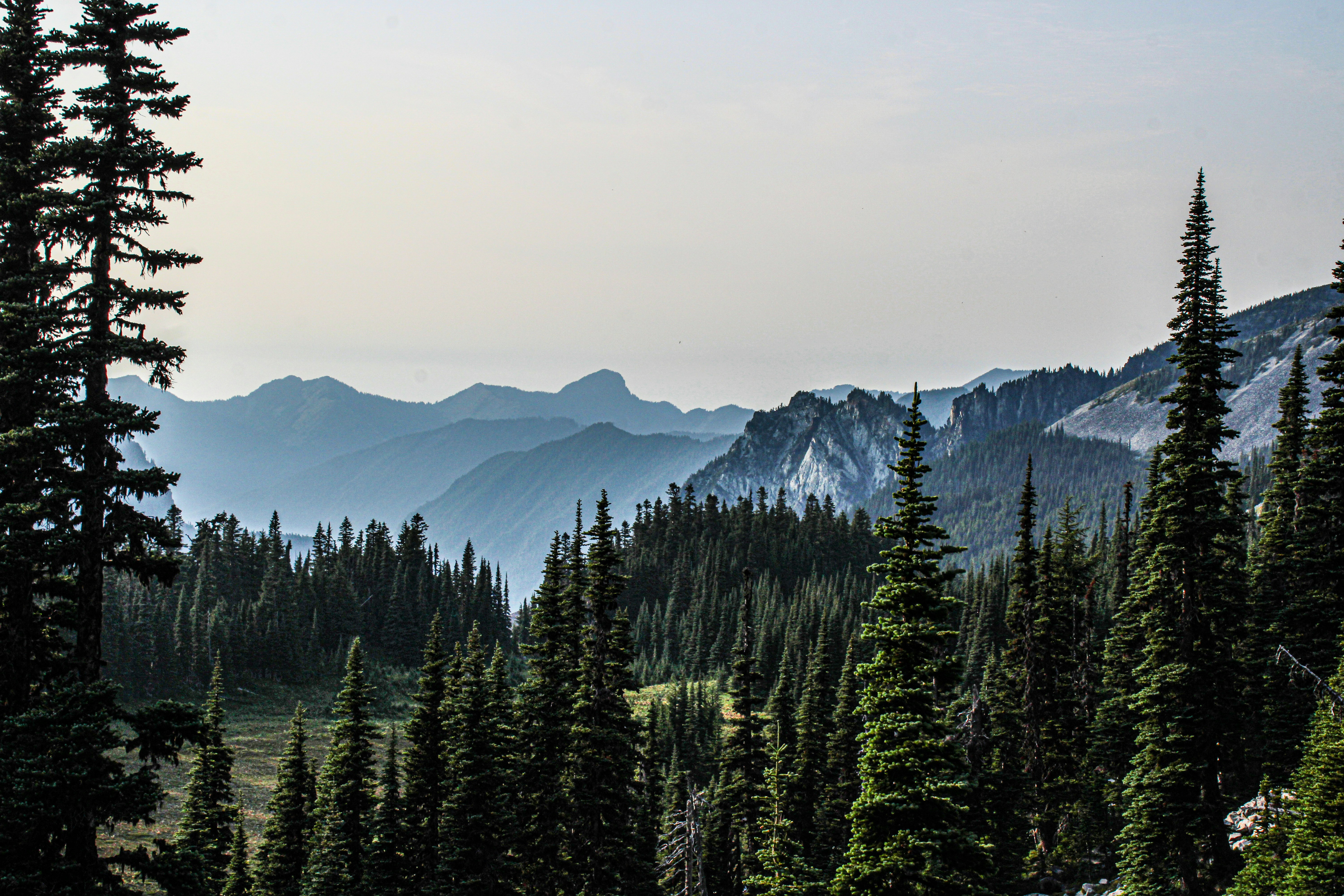 Photo by prphotography262