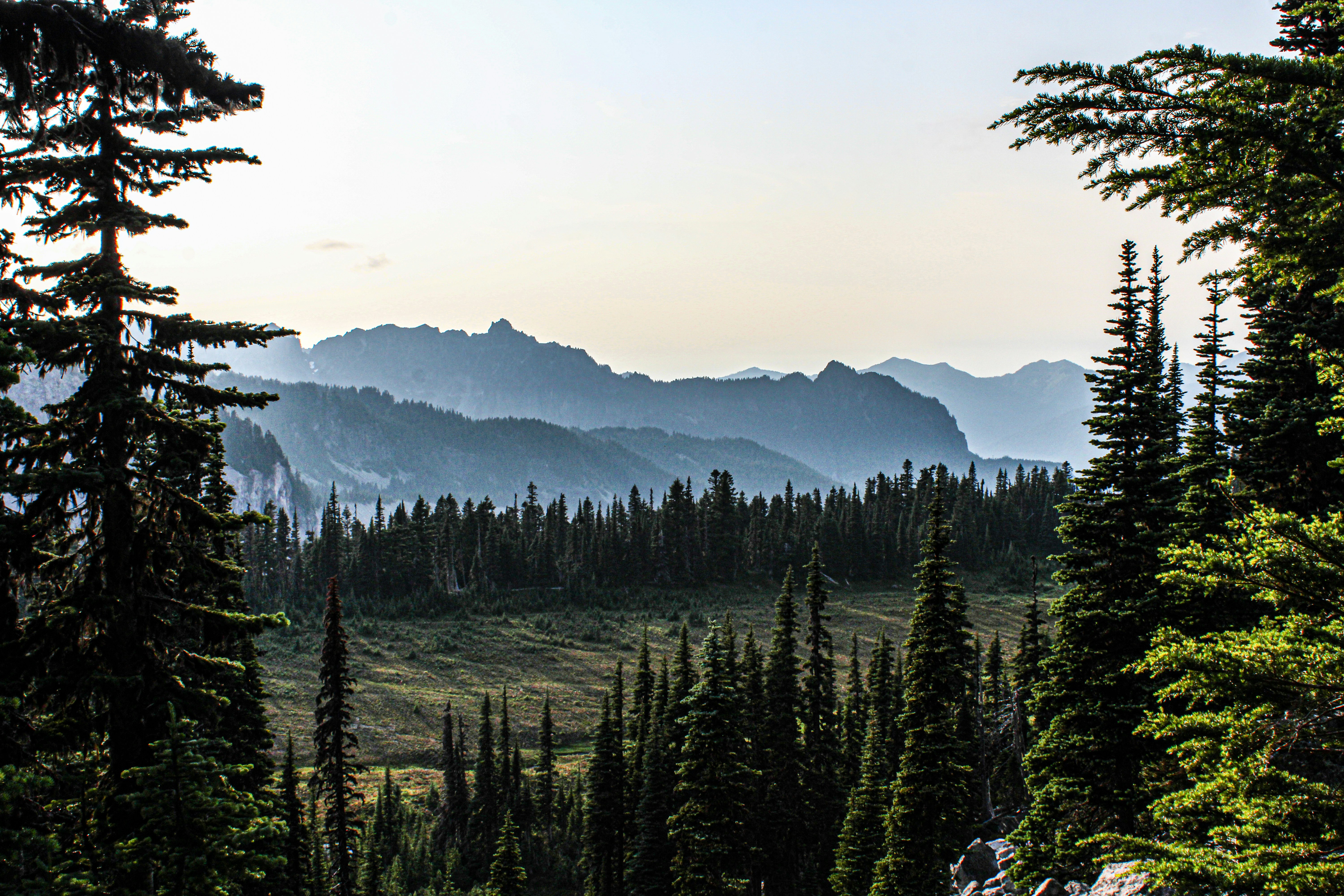 Photo by prphotography262