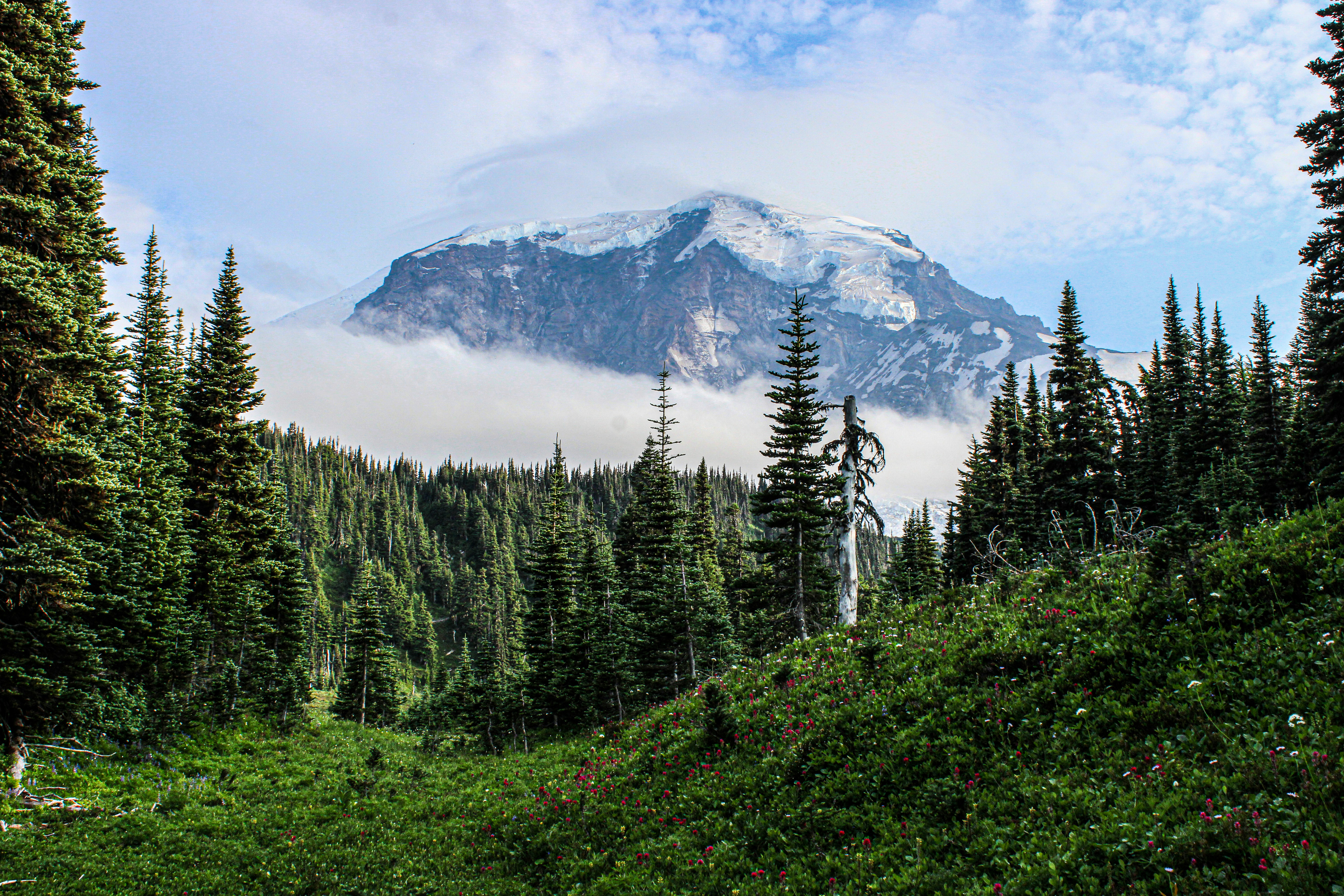 Photo by prphotography262