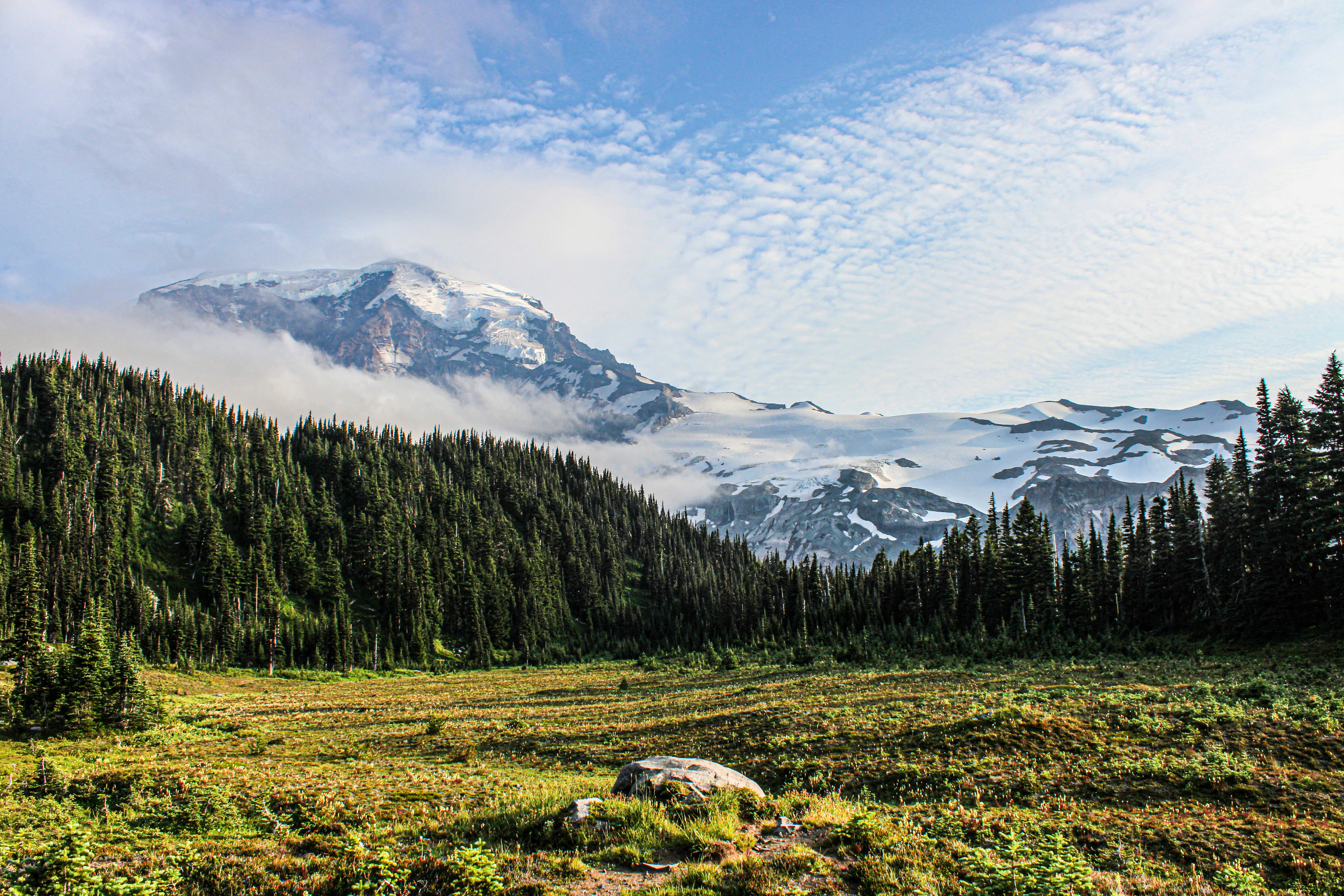 Photo by prphotography262