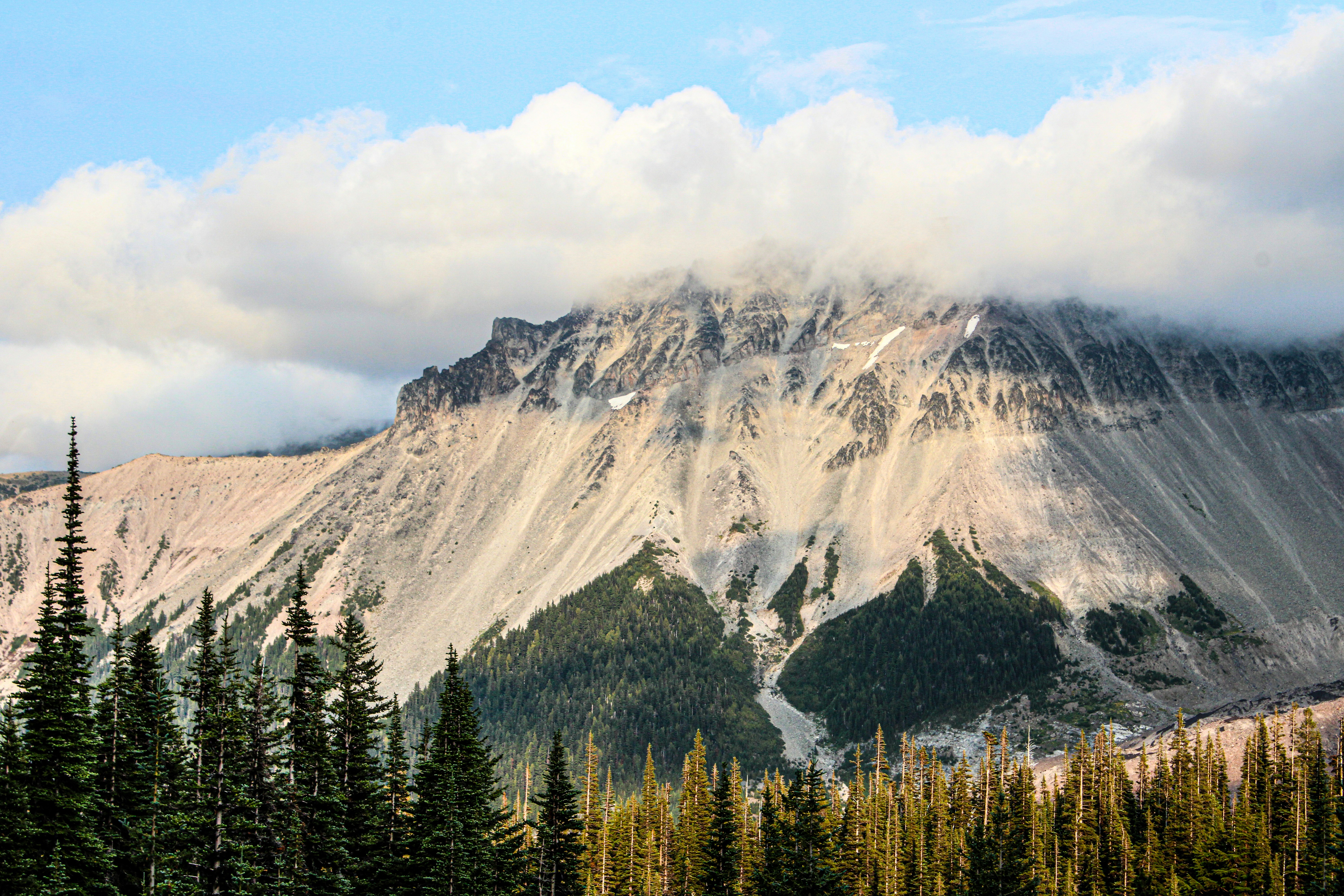 Photo by prphotography262