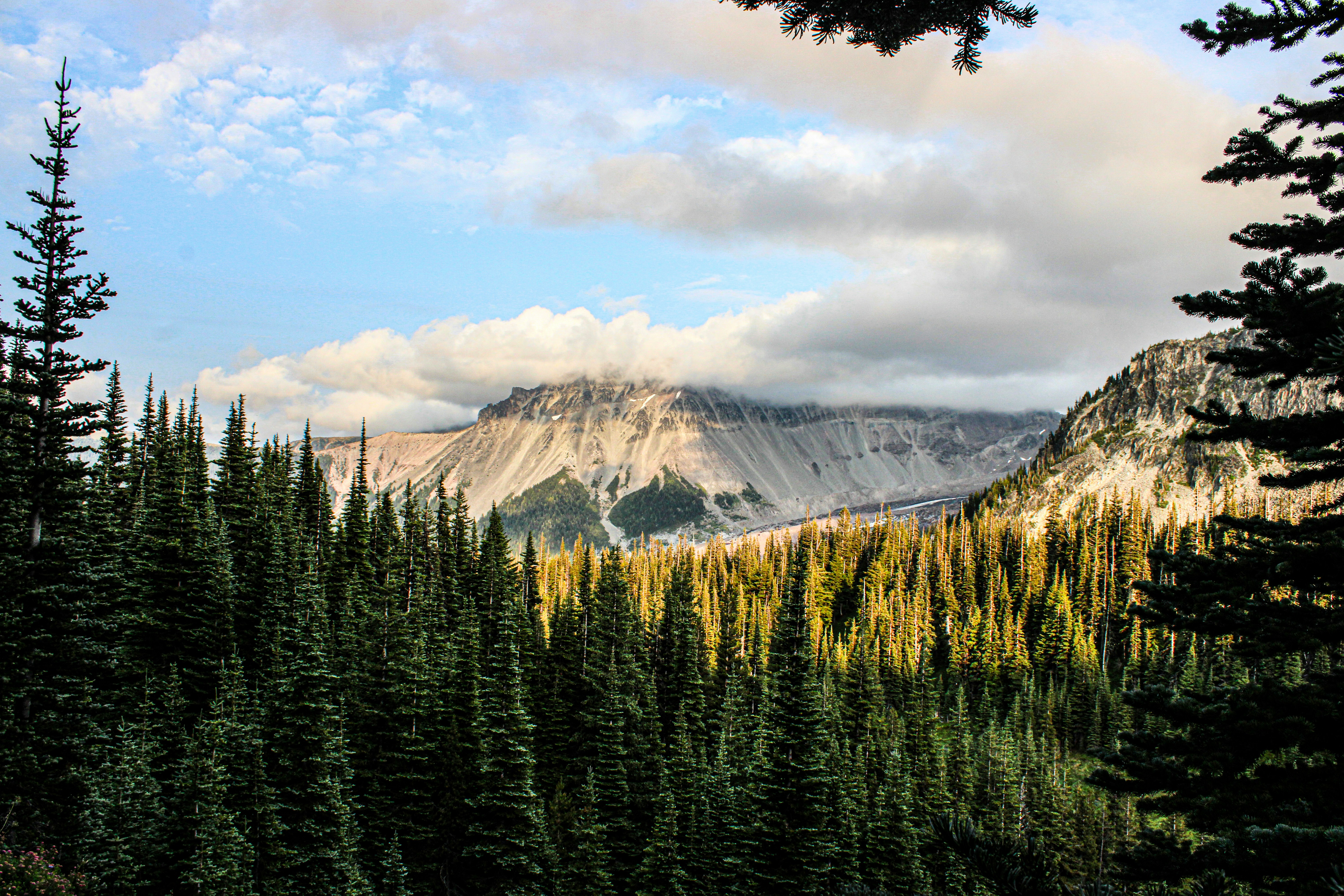 Photo by prphotography262