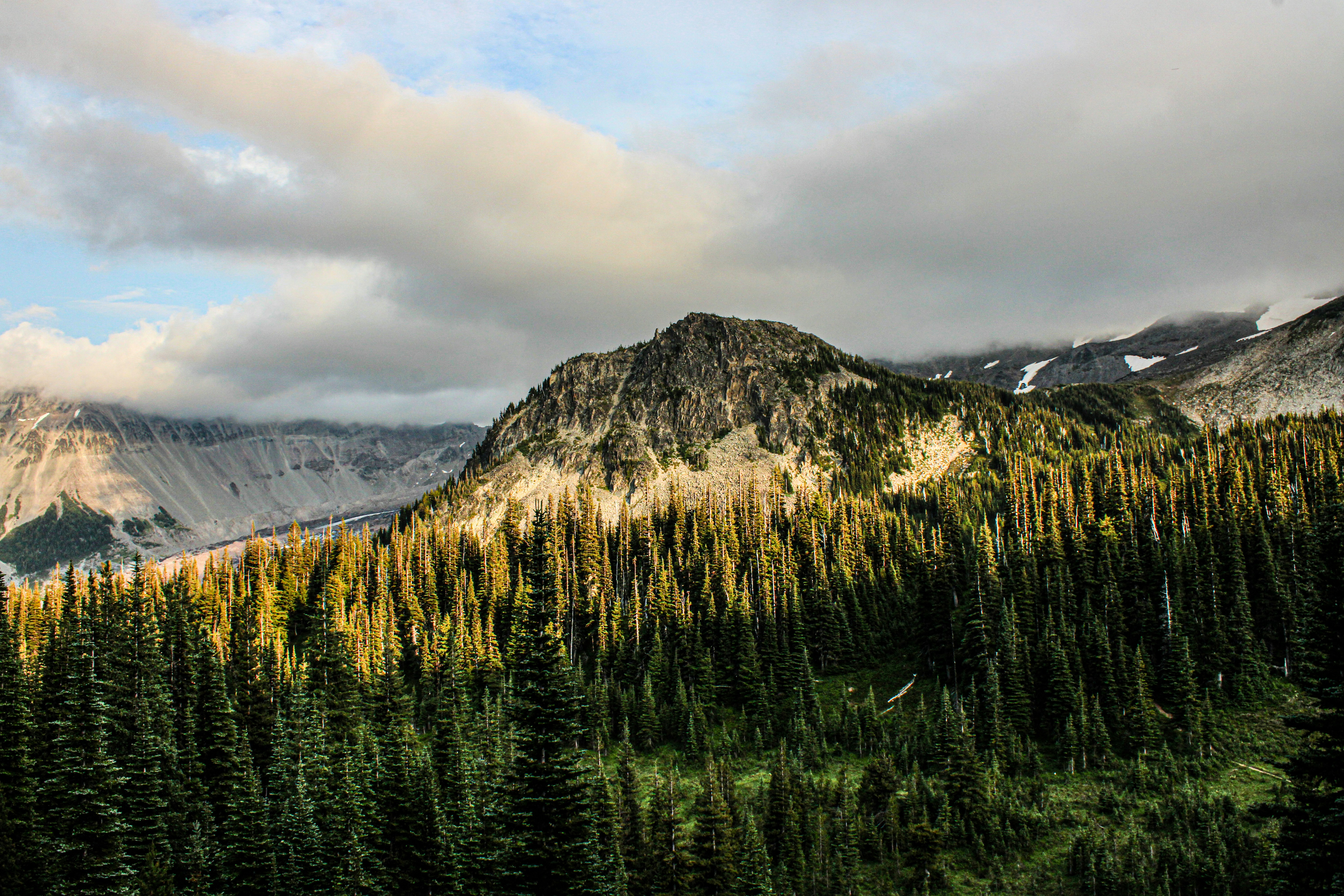 Photo by prphotography262