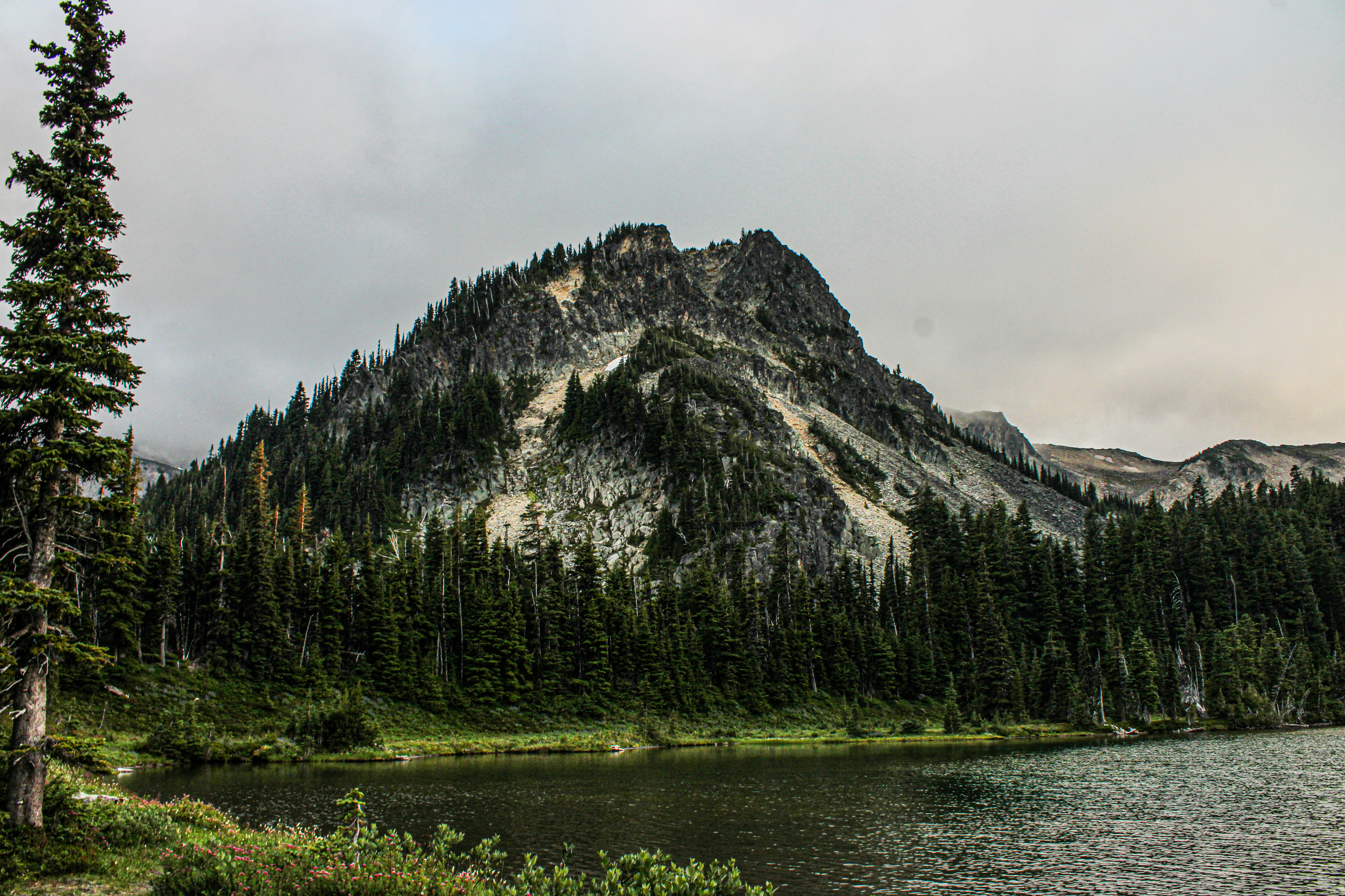 Photo by prphotography262