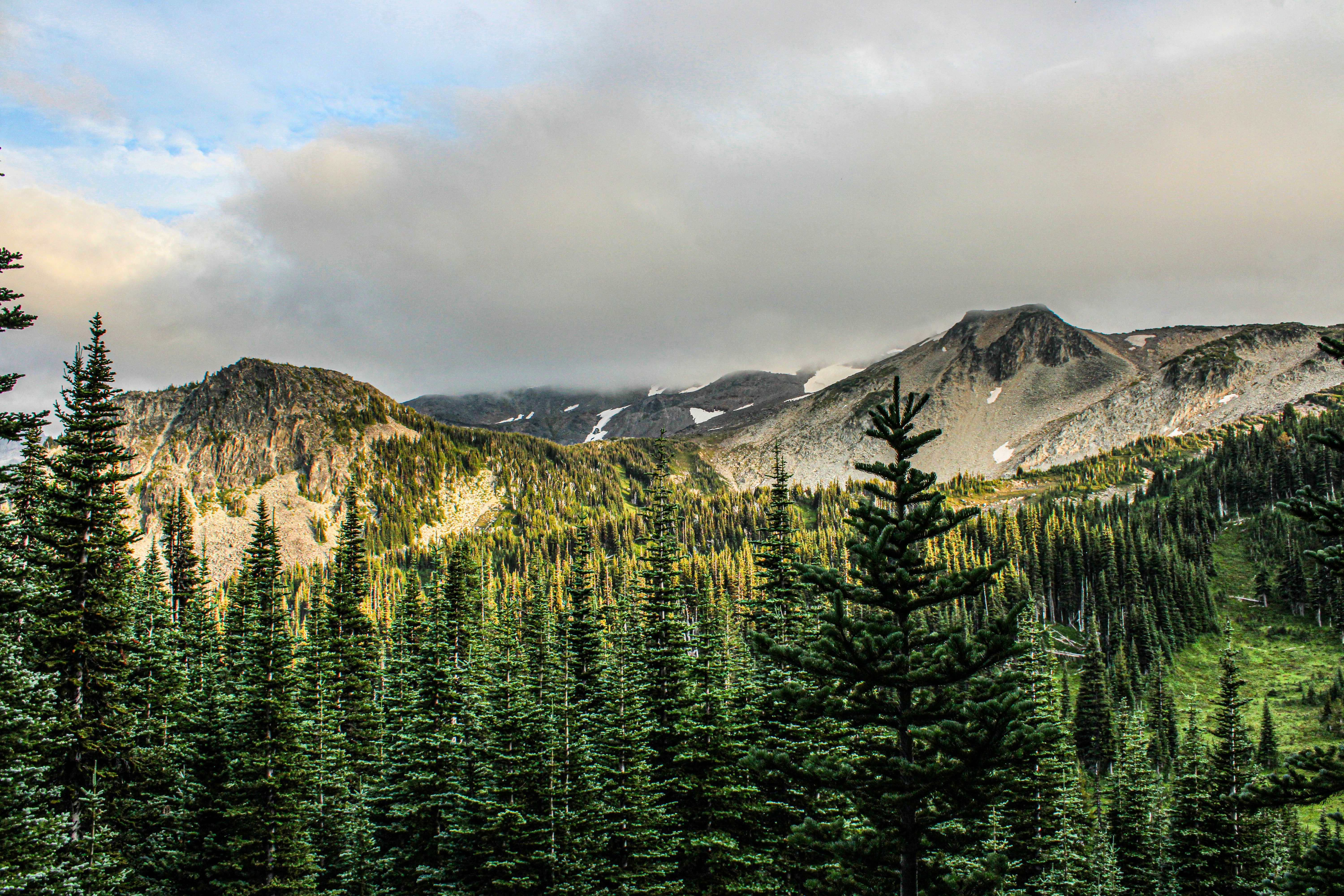 Photo by prphotography262