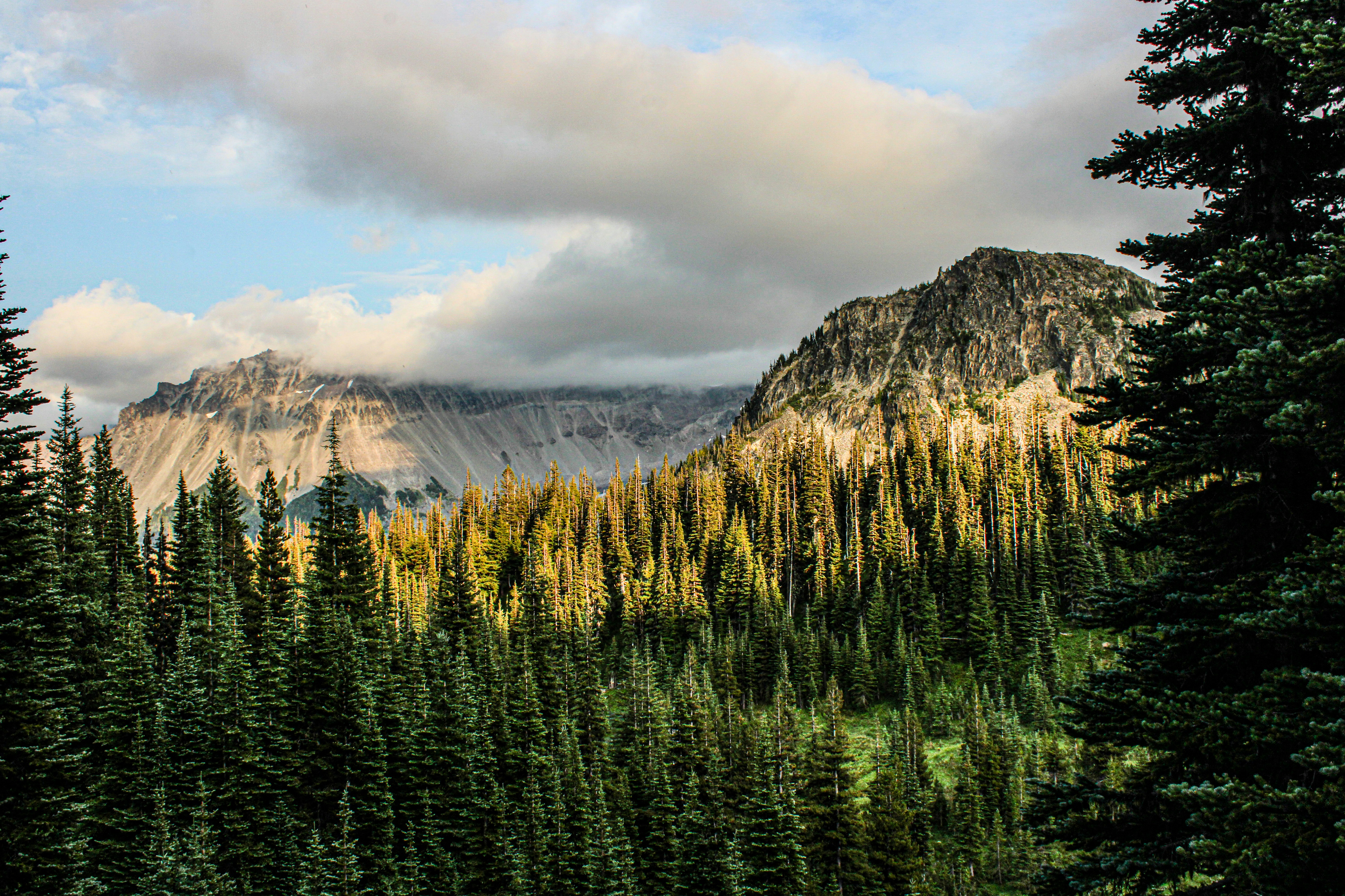 Photo by prphotography262