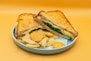 A plate with a sandwich and chips on it