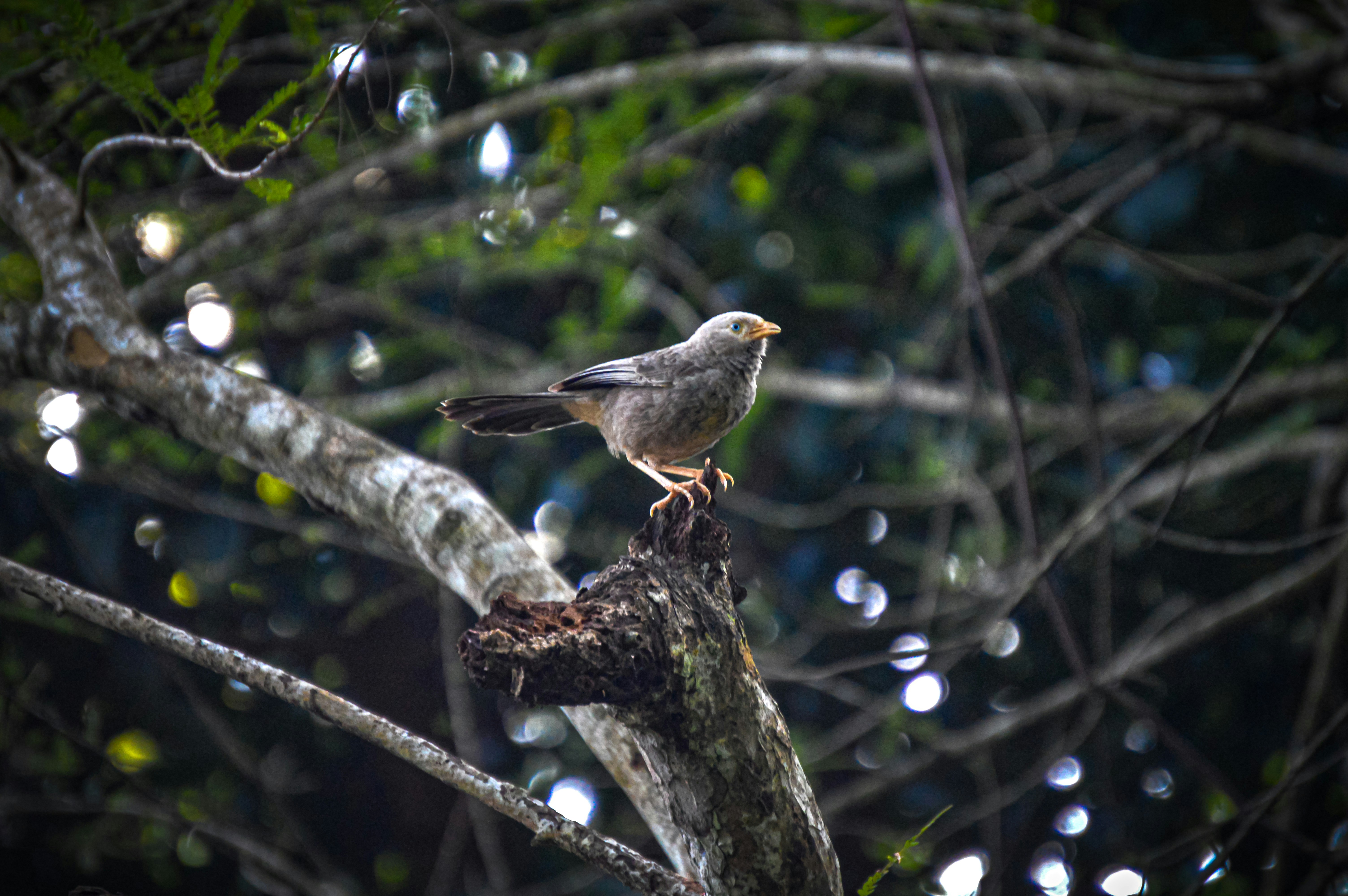 Photo by jithinvijayamohanan