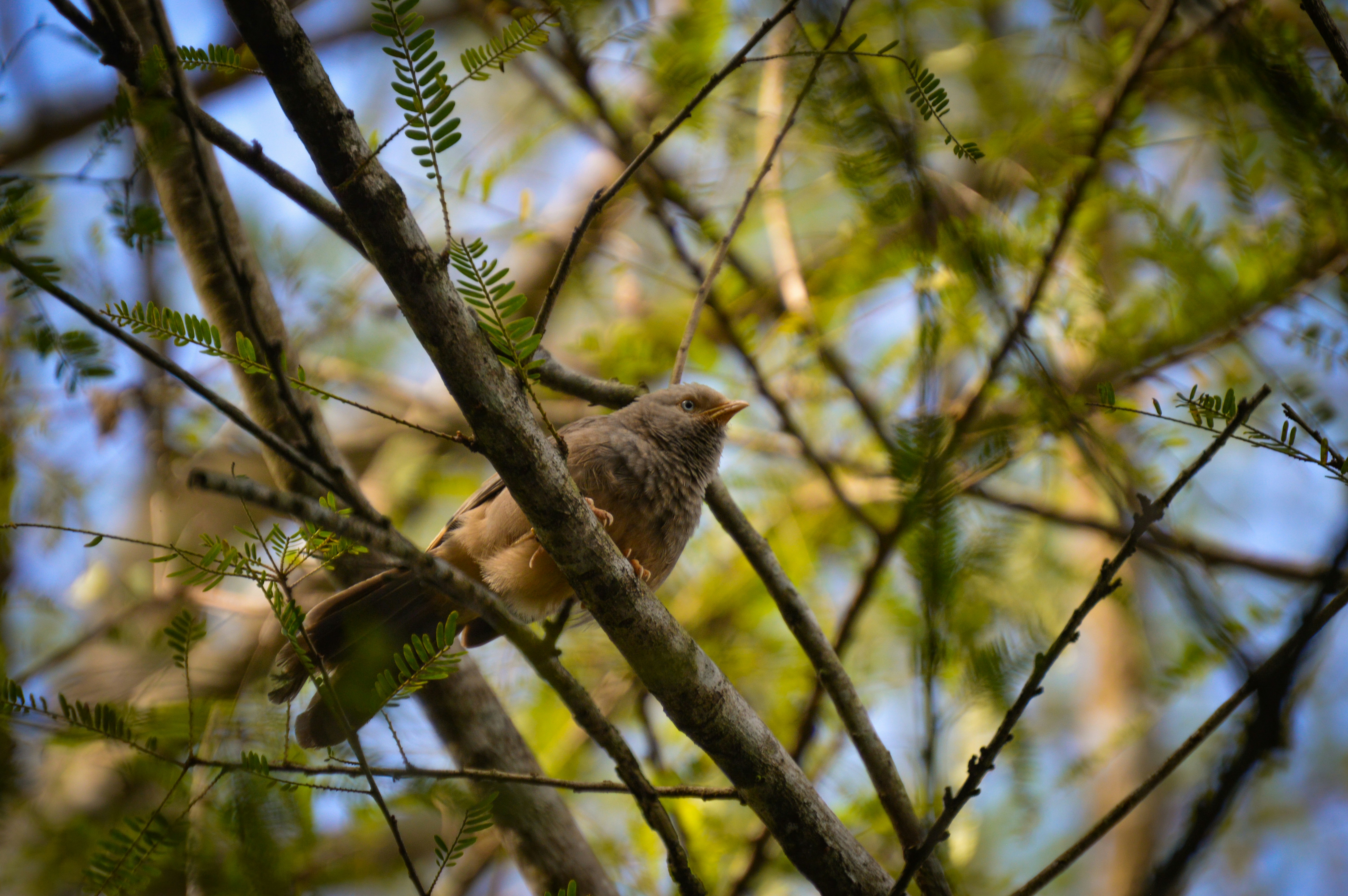 Photo by jithinvijayamohanan