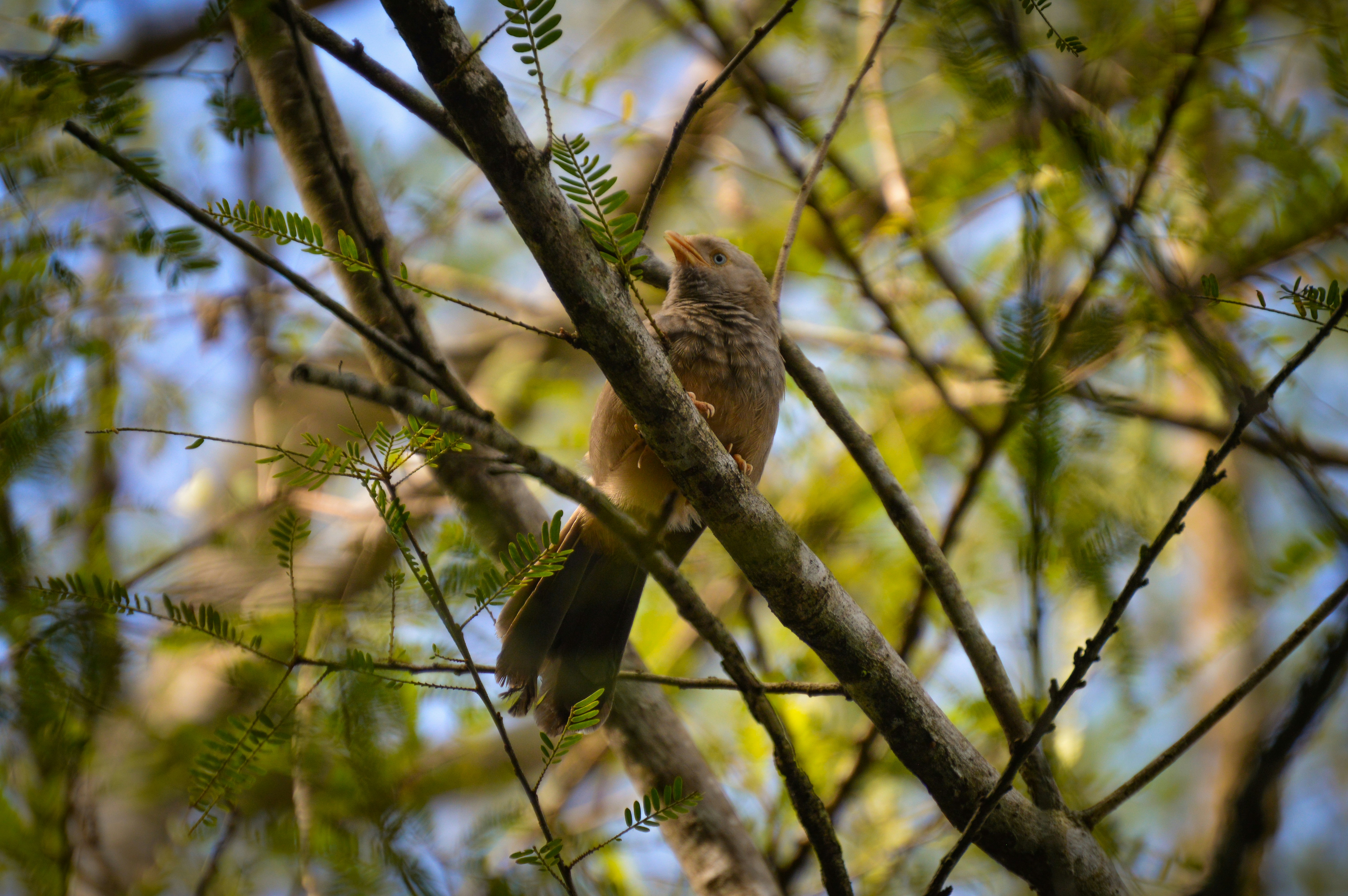 Photo by jithinvijayamohanan