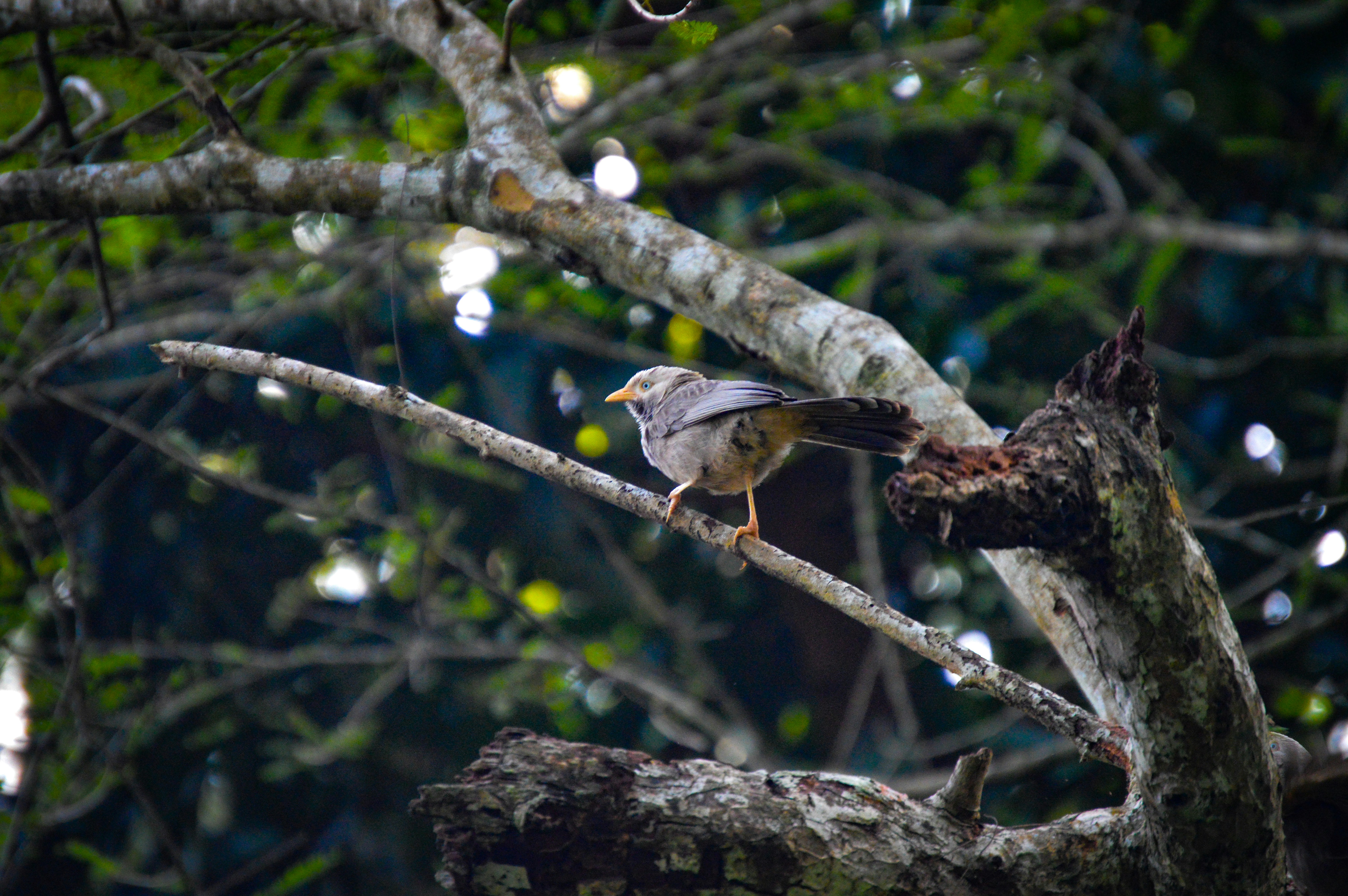 Photo by jithinvijayamohanan