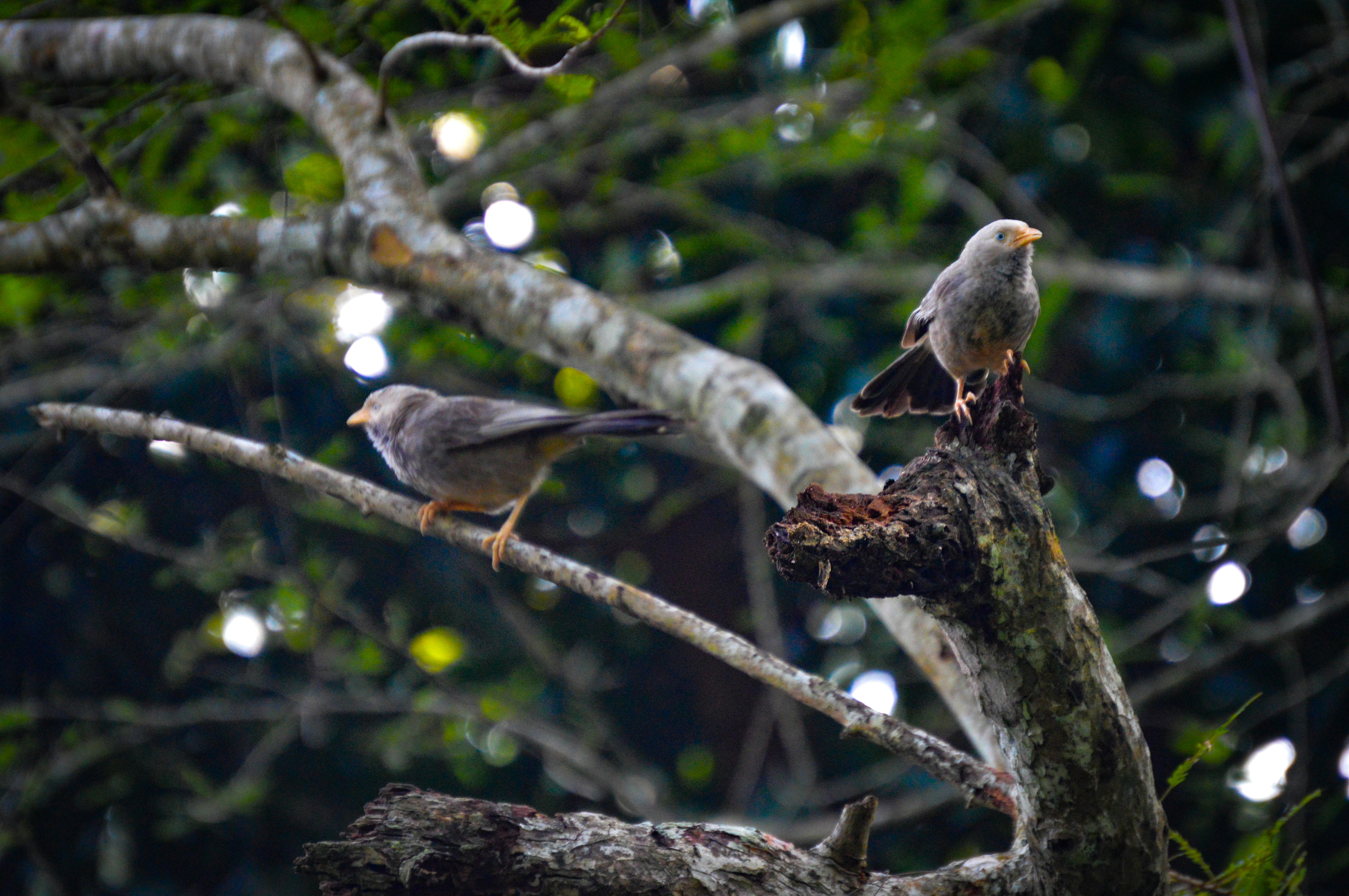 Photo by jithinvijayamohanan