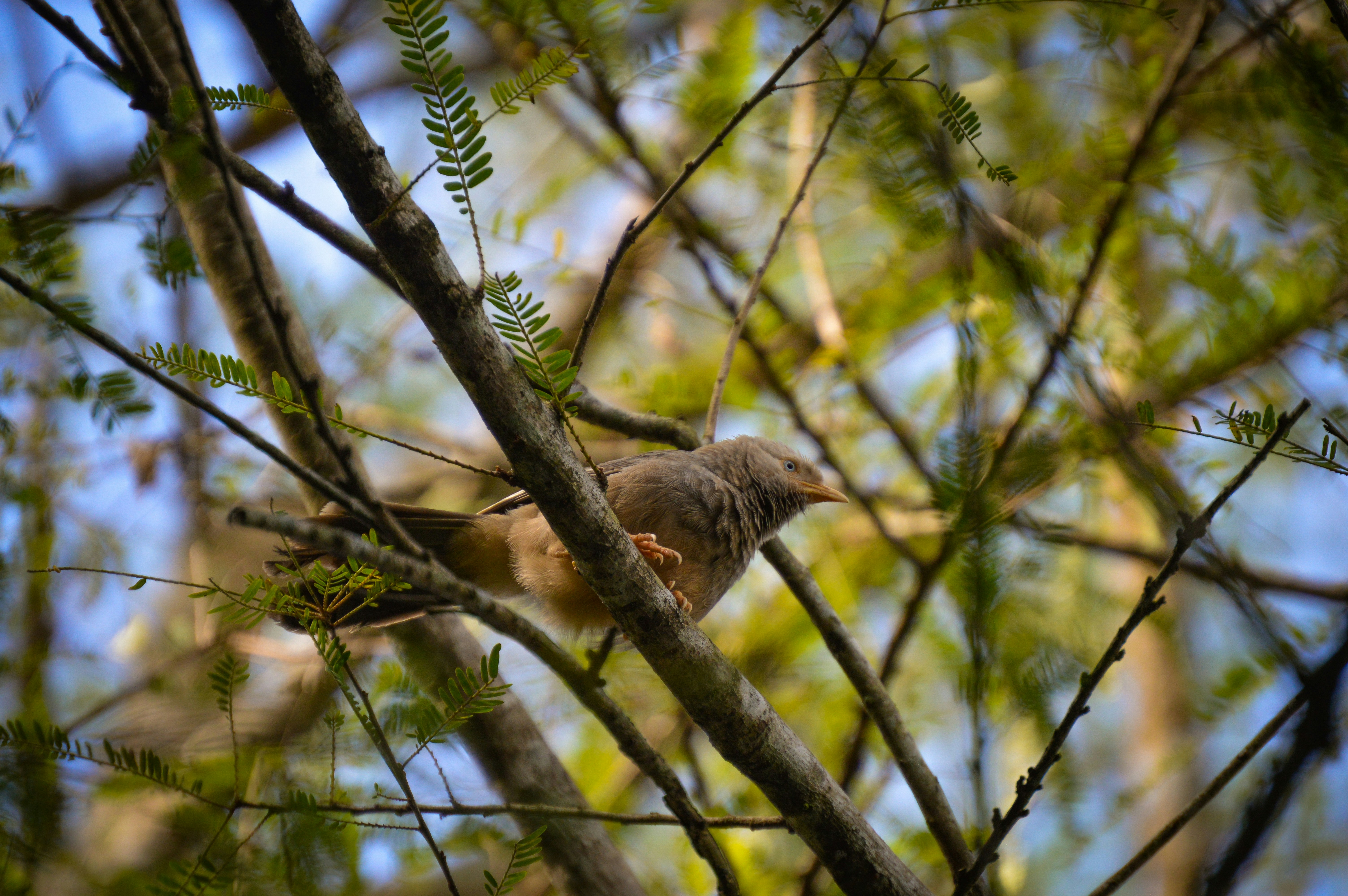 Photo by jithinvijayamohanan