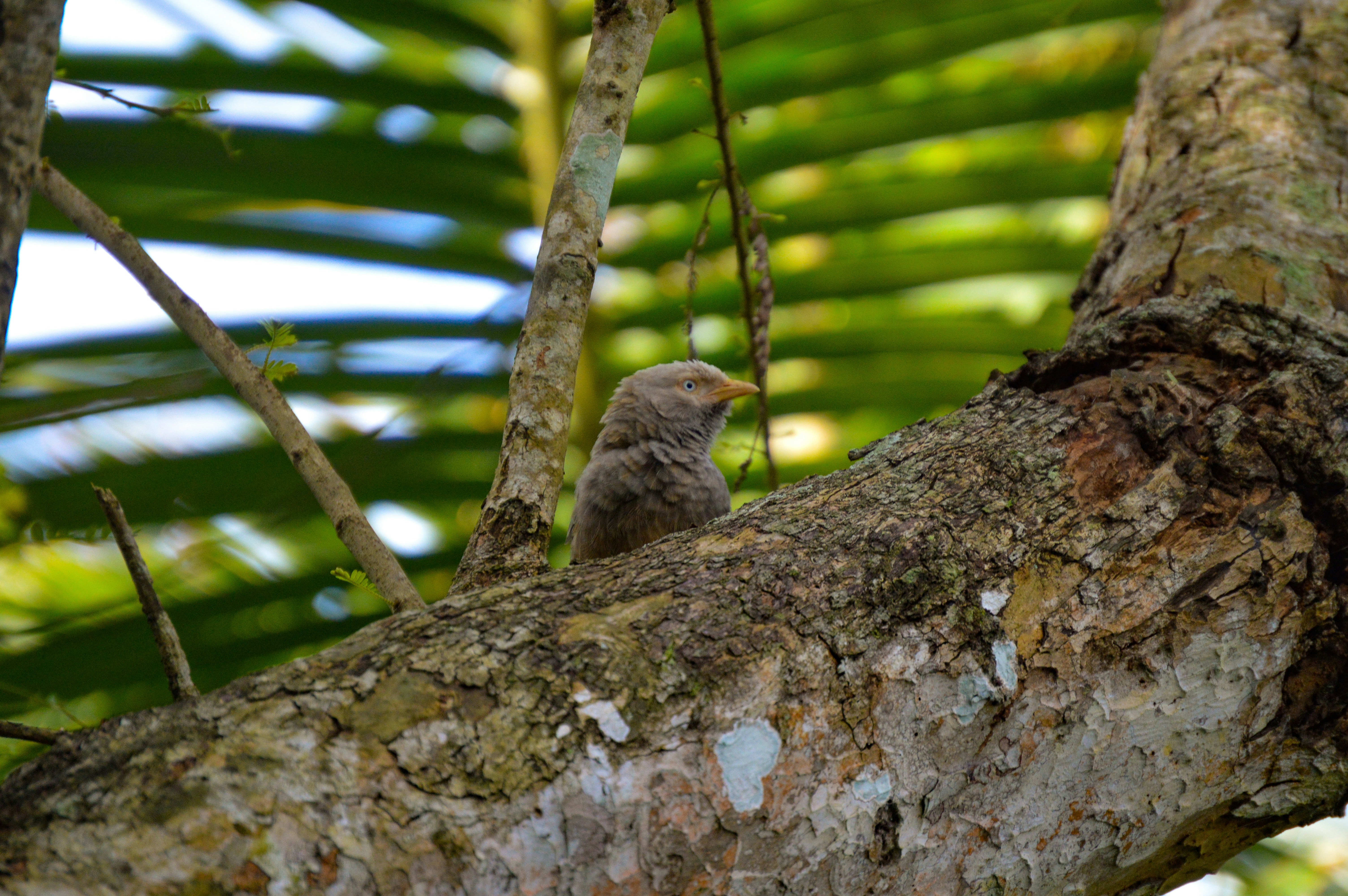 Photo by jithinvijayamohanan