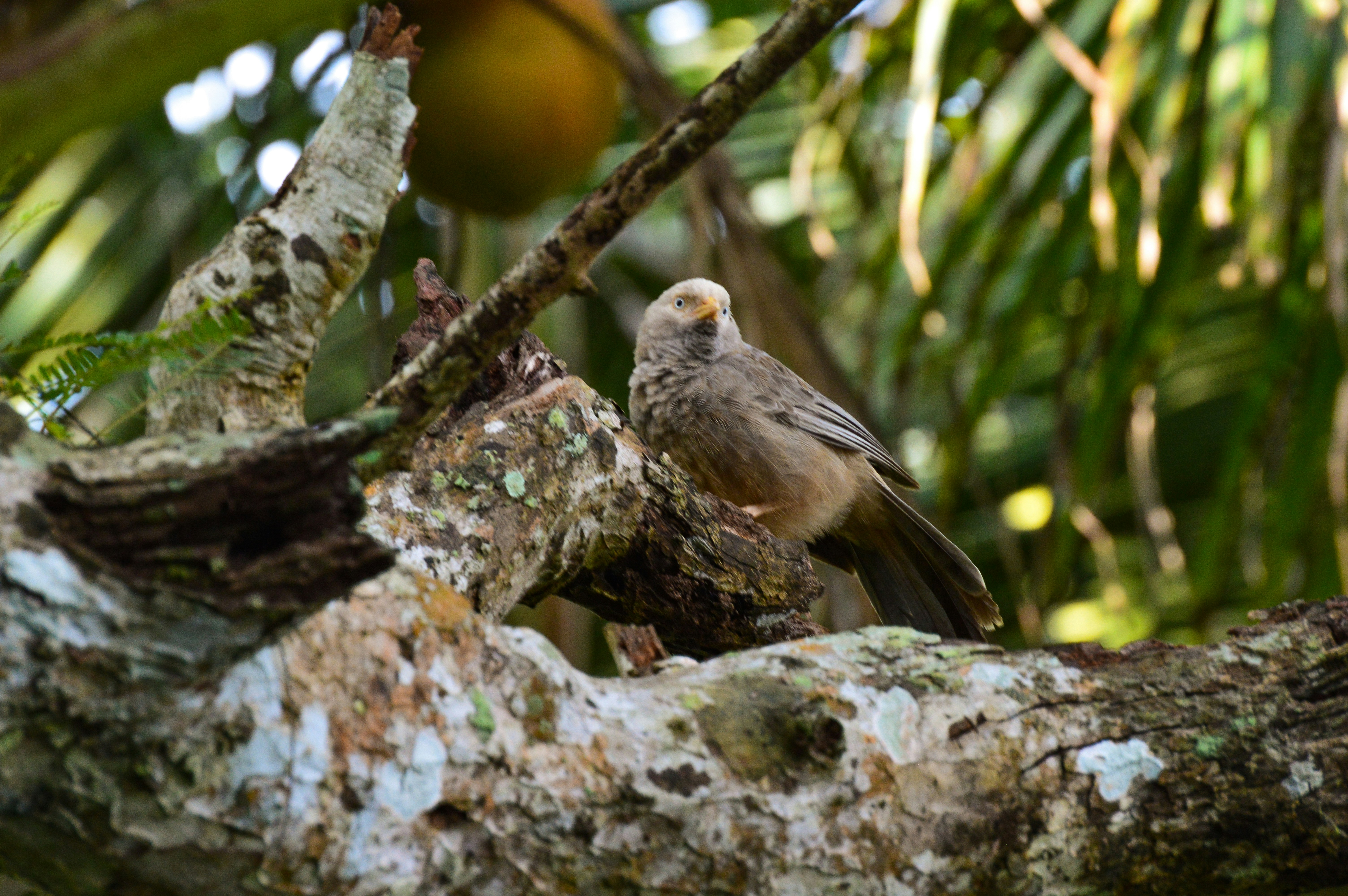 Photo by jithinvijayamohanan