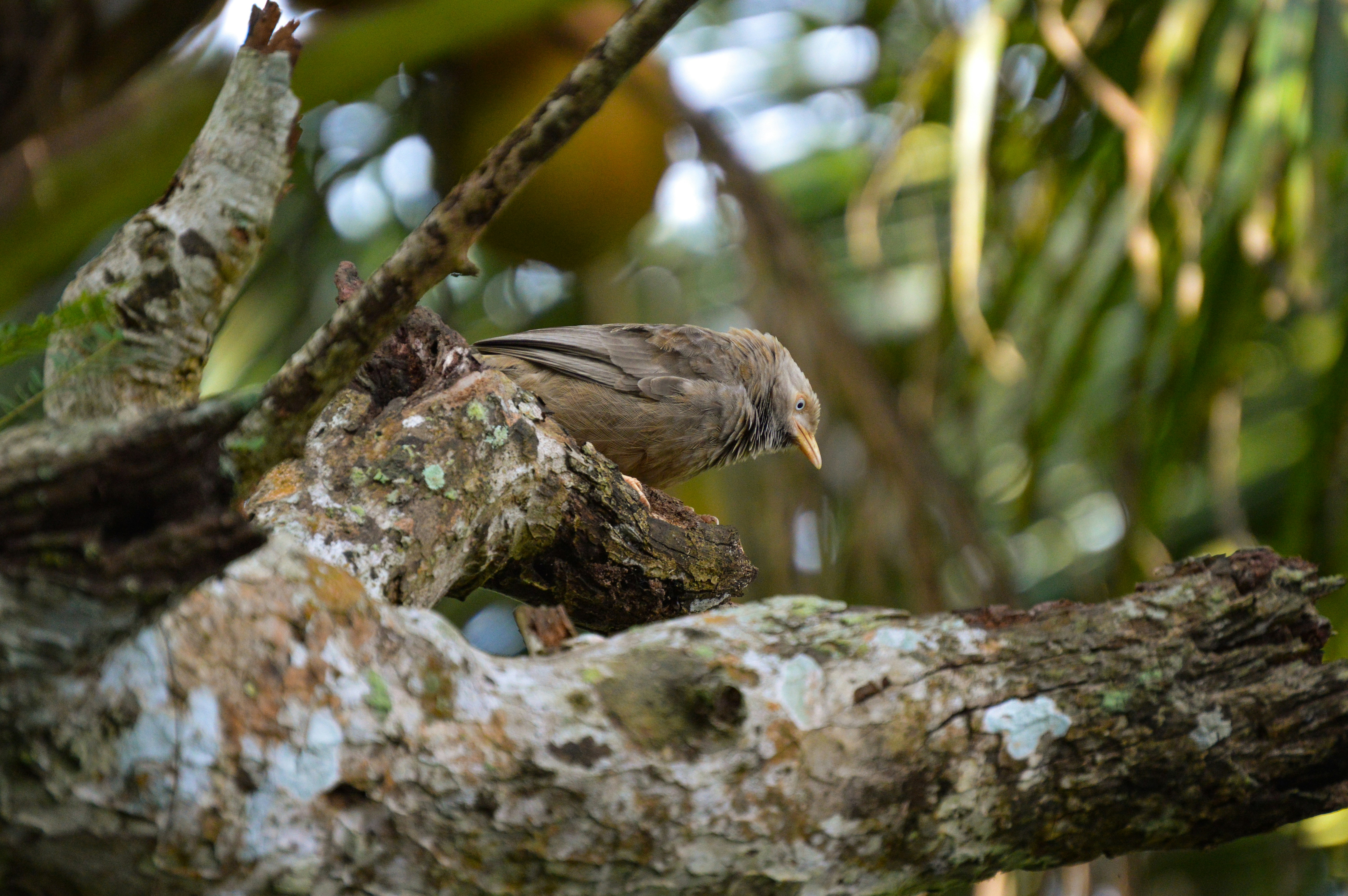 Photo by jithinvijayamohanan