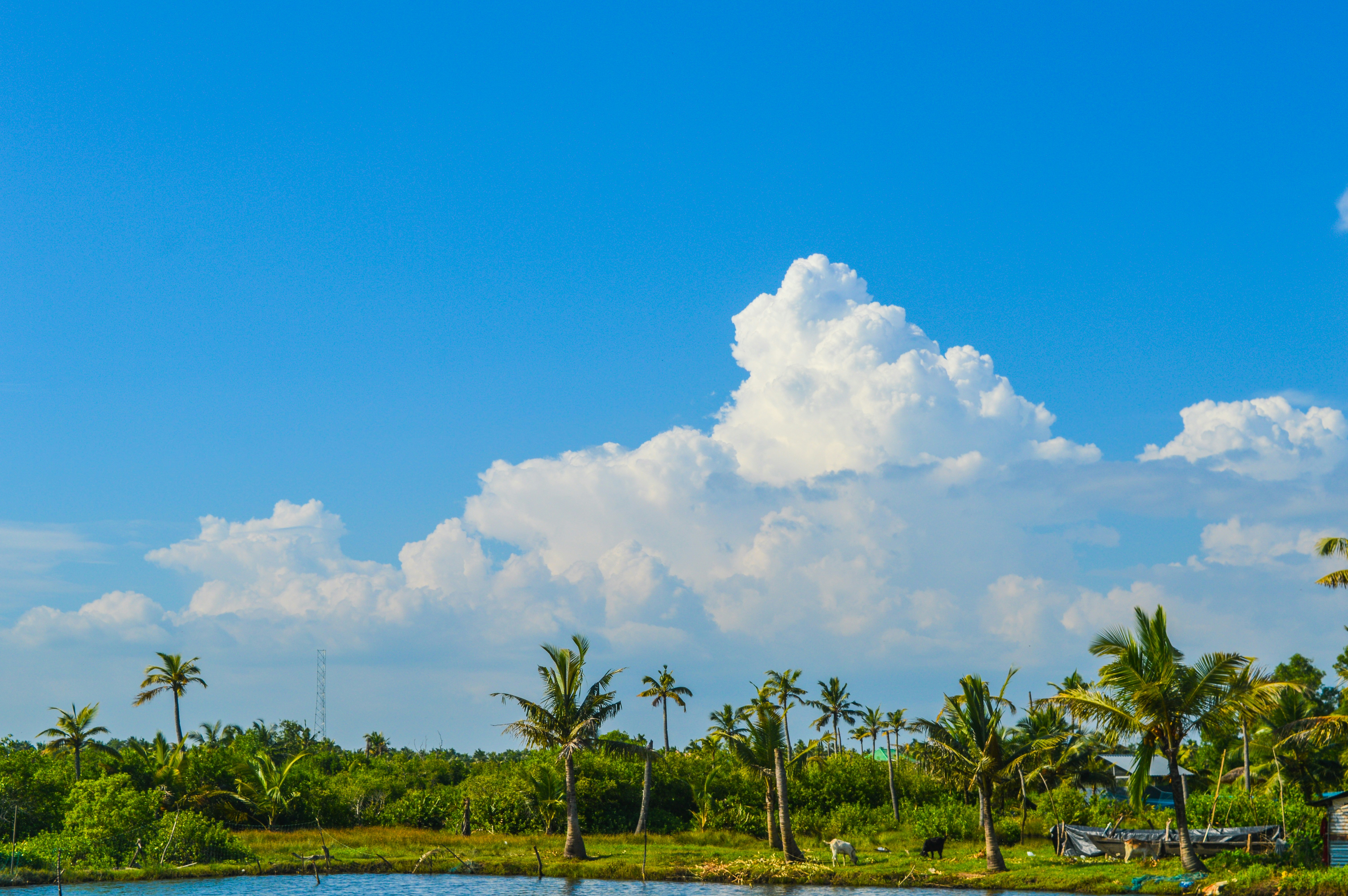 Photo by jithinvijayamohanan