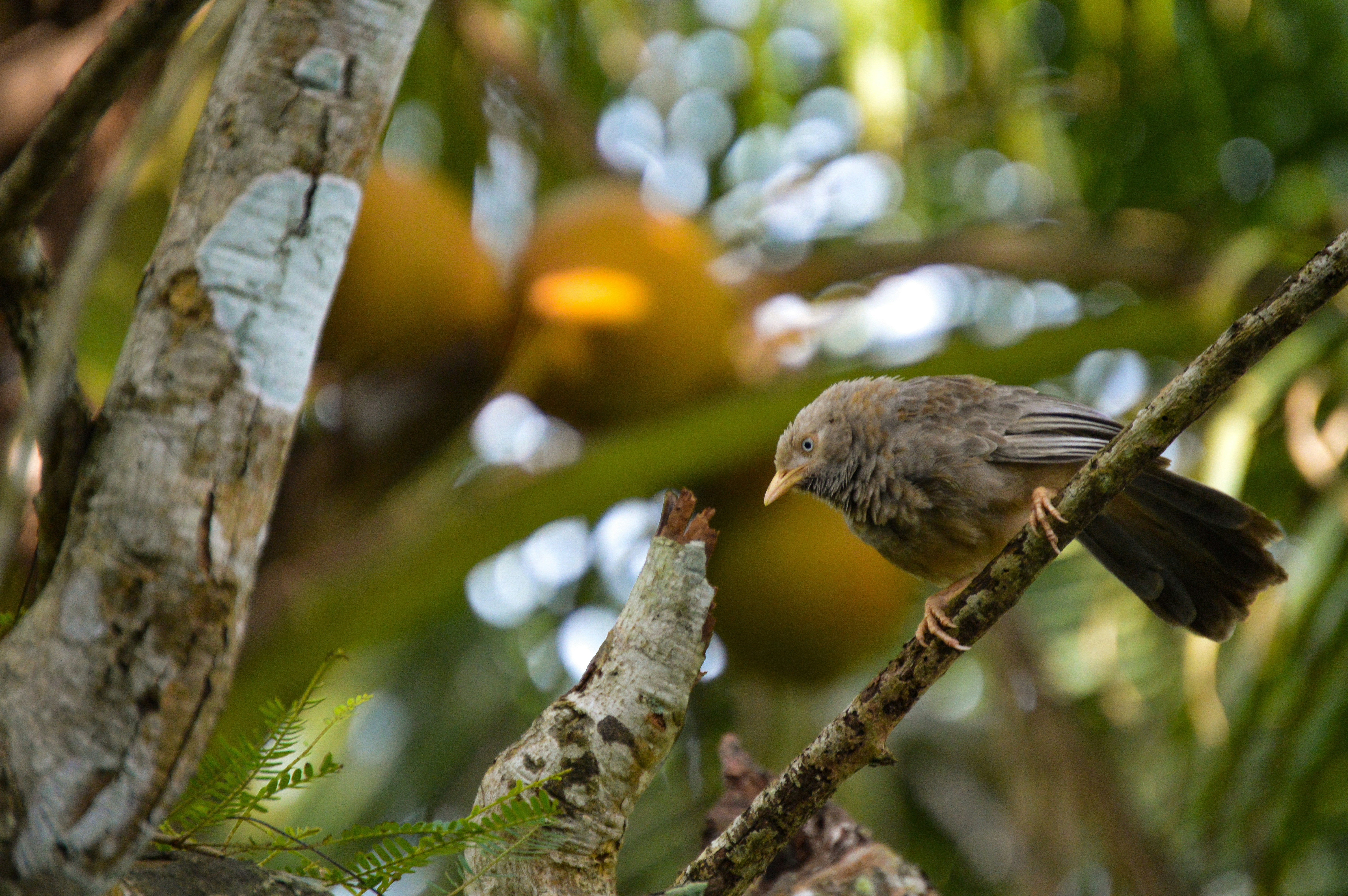 Photo by jithinvijayamohanan