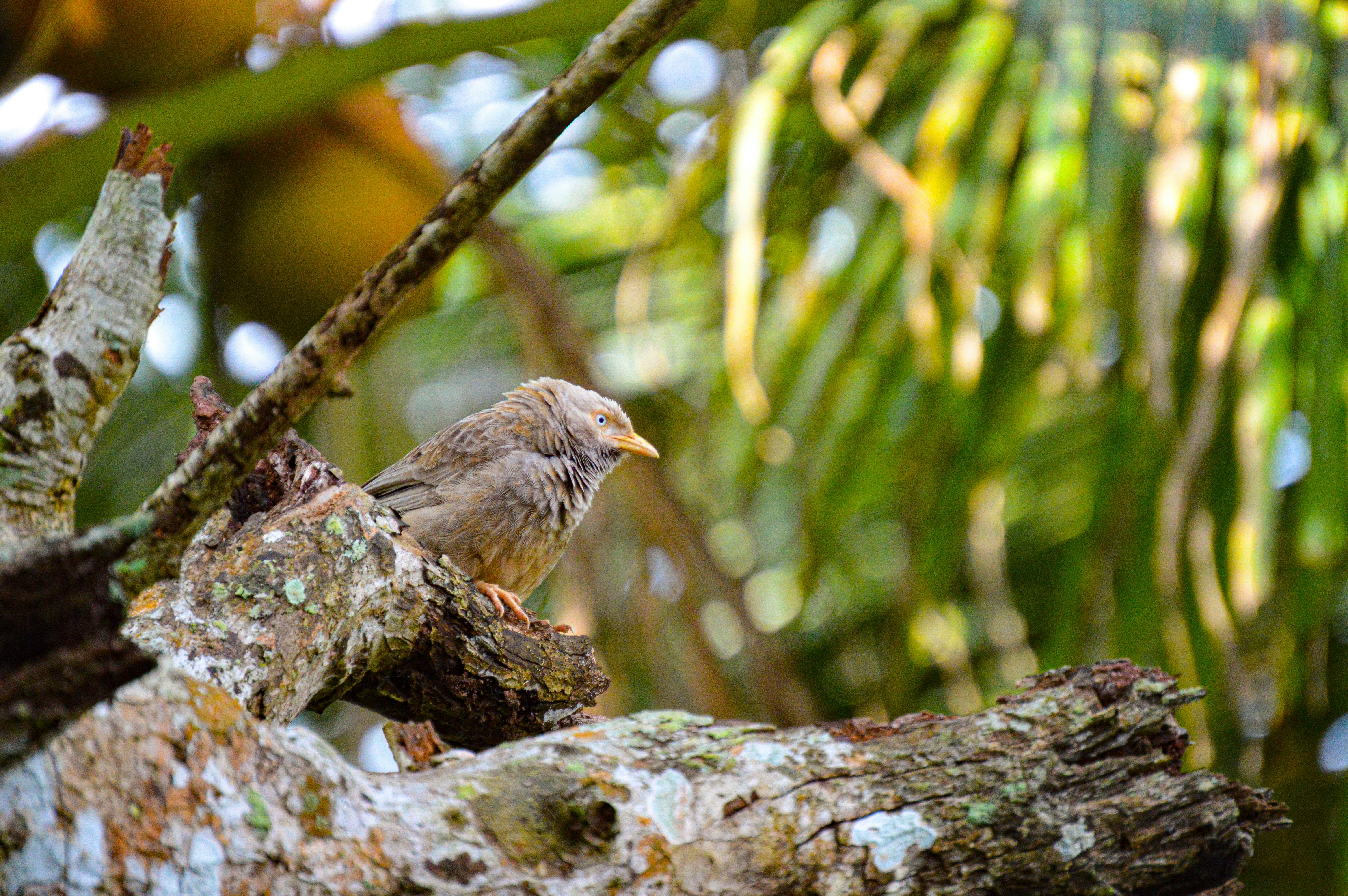 Photo by jithinvijayamohanan