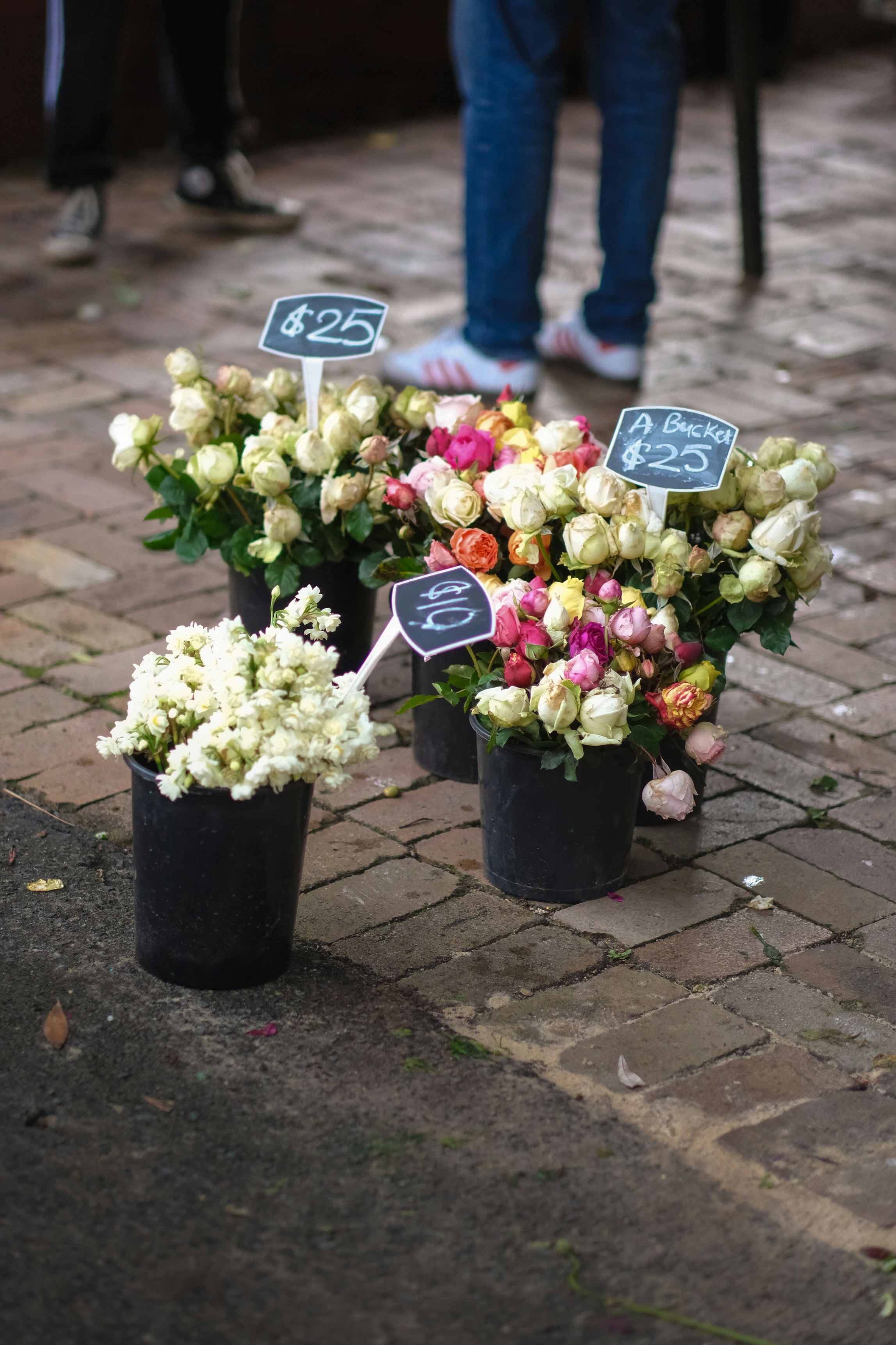 Photo by tonellialice