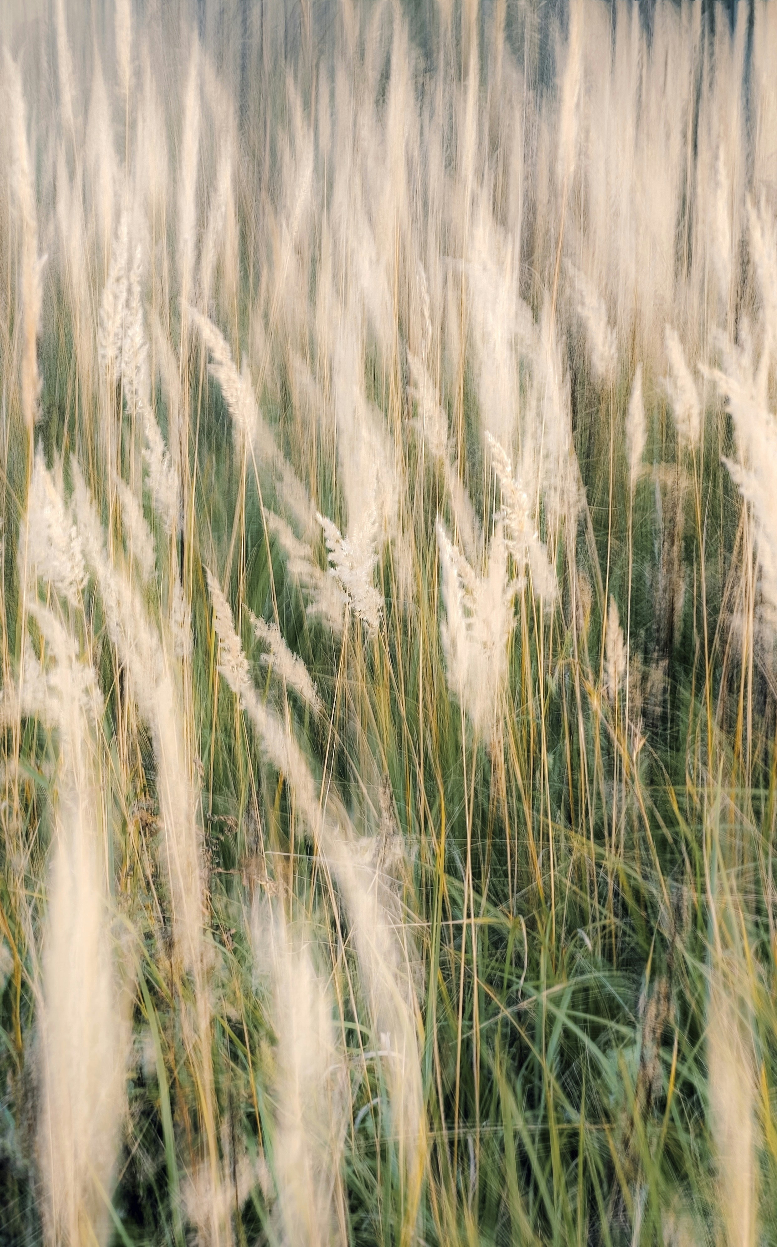 Photo by eugene_golovesov