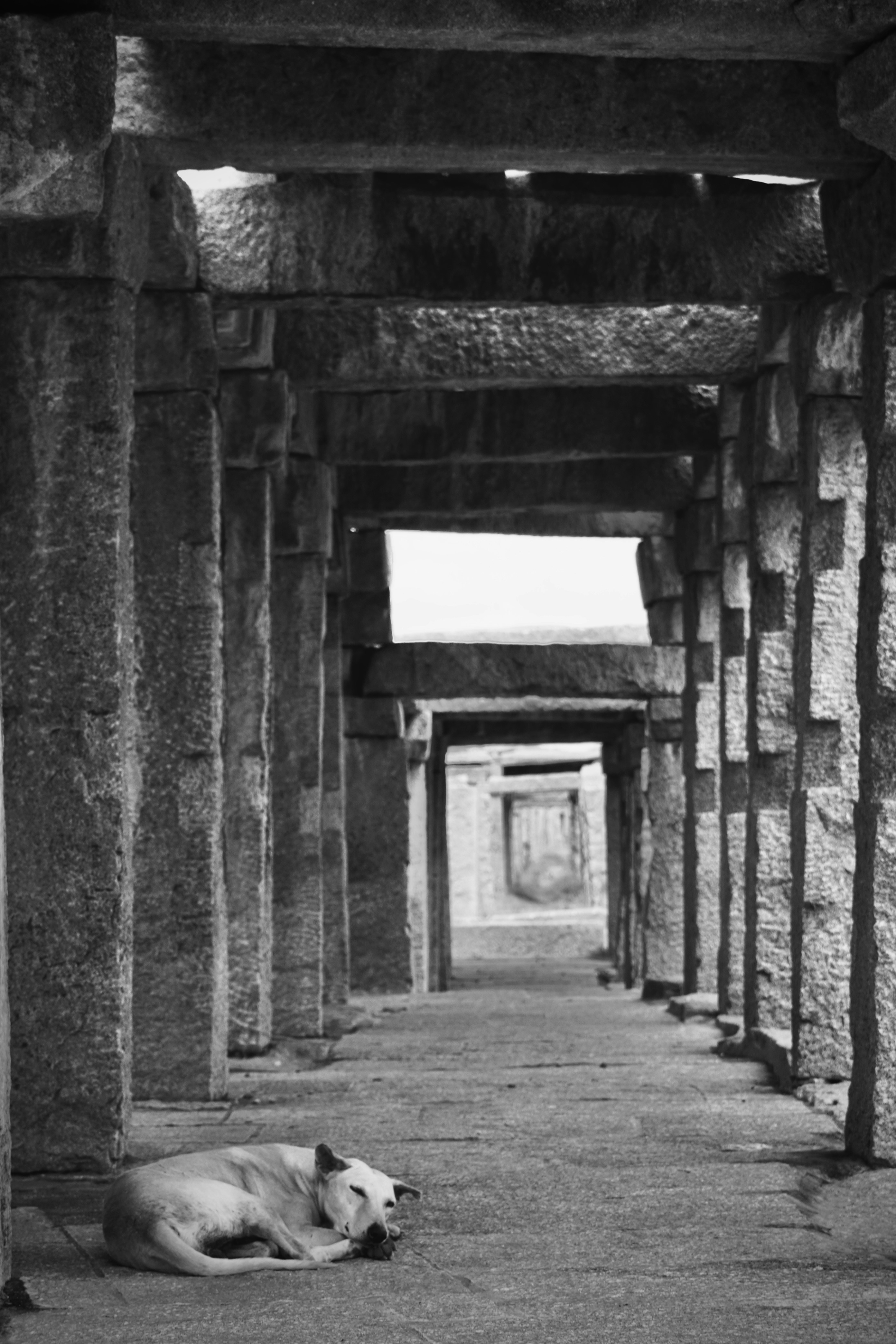 Photo by adityaakadam