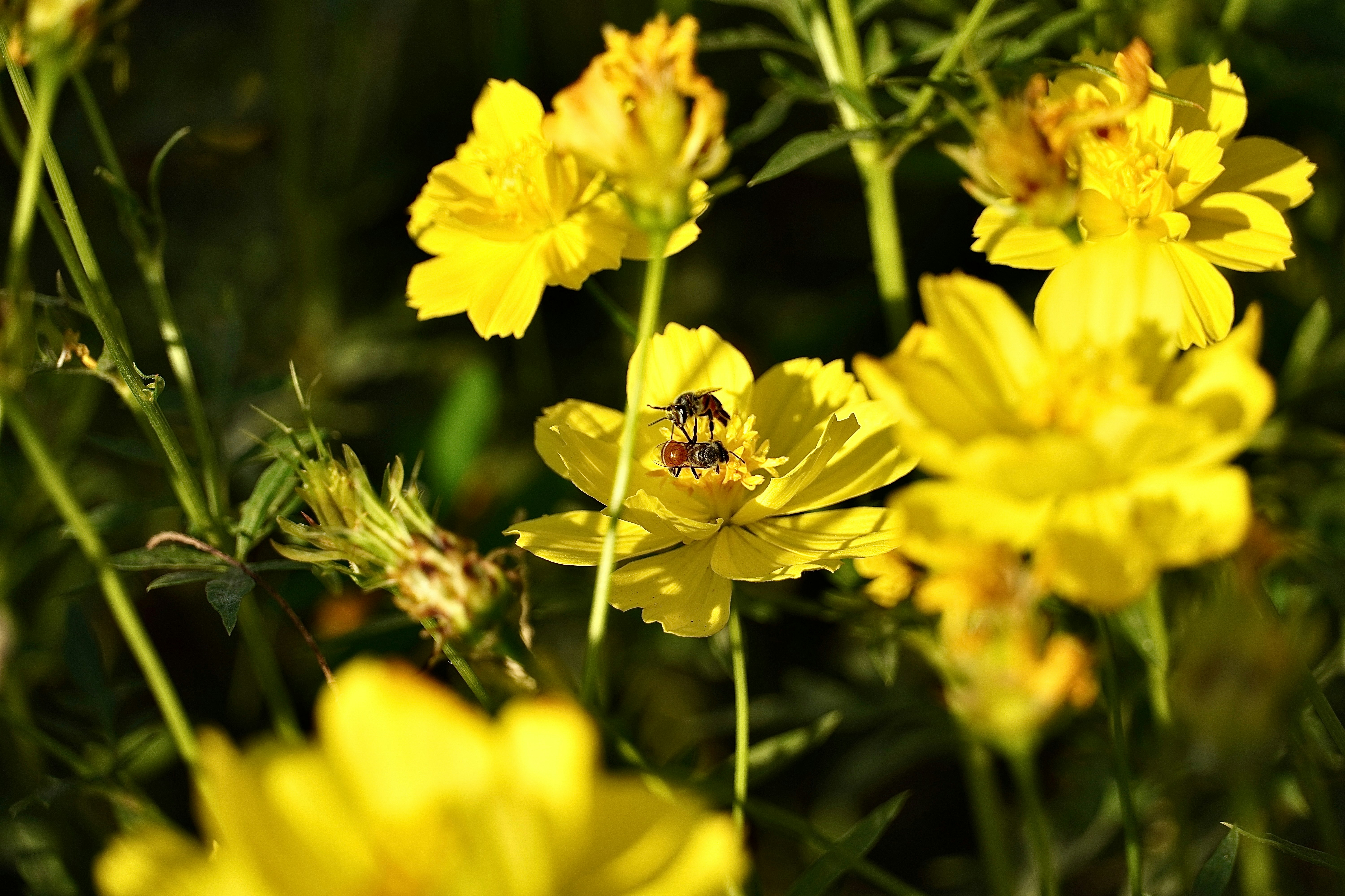 Photo by adityaakadam