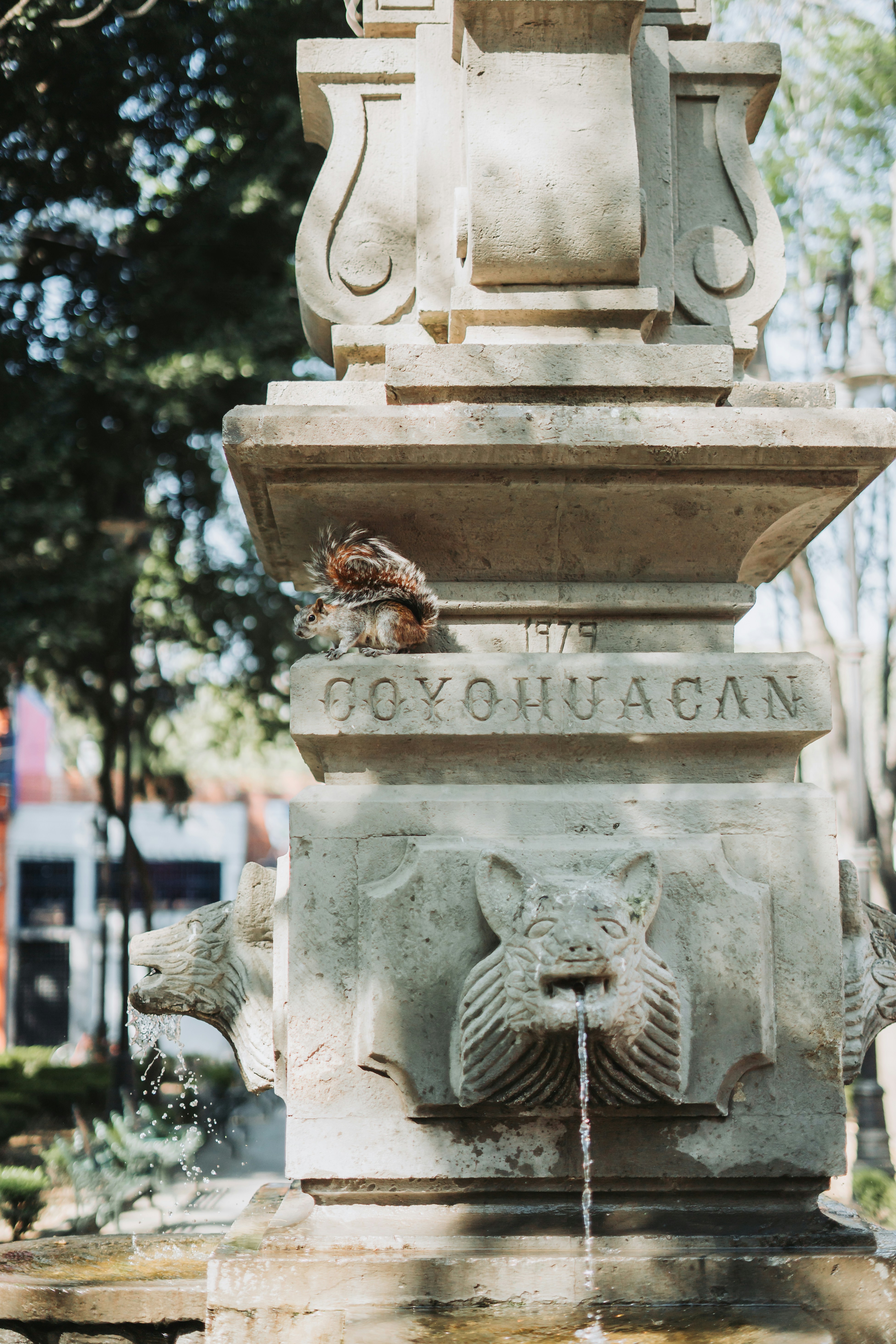 A fountain with a statue of a cat on top of it