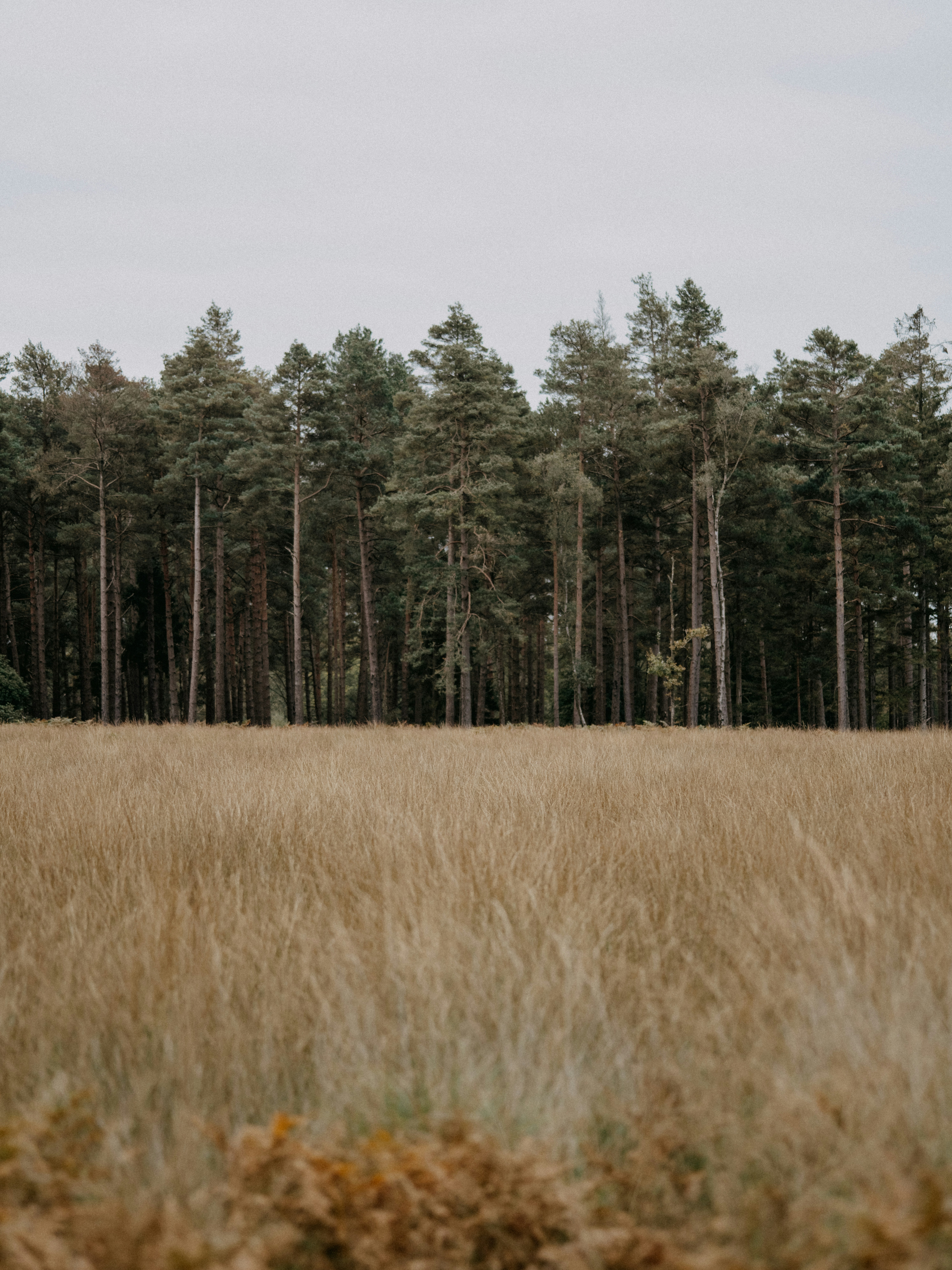 Photo by anniespratt