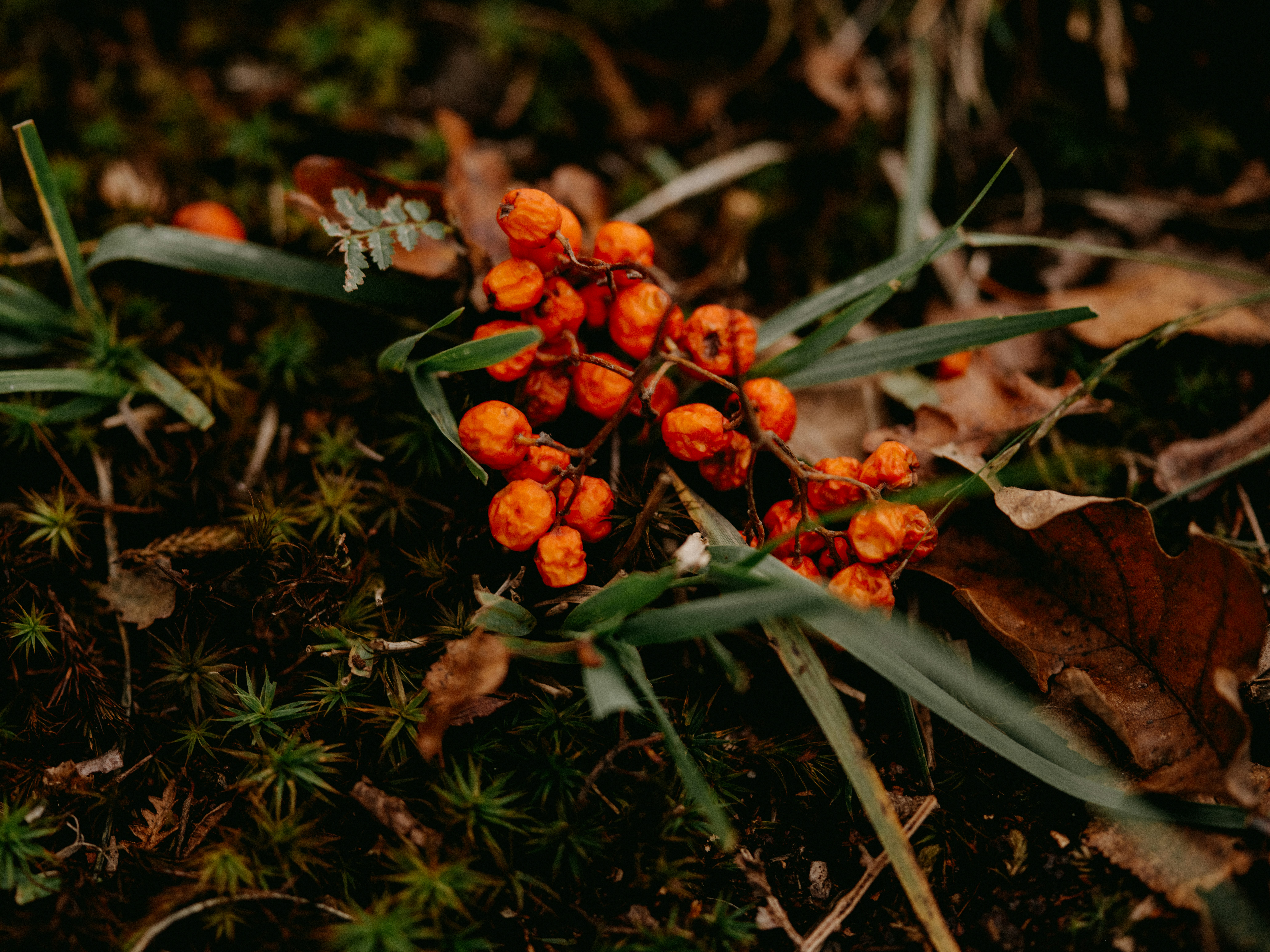 Photo by anniespratt