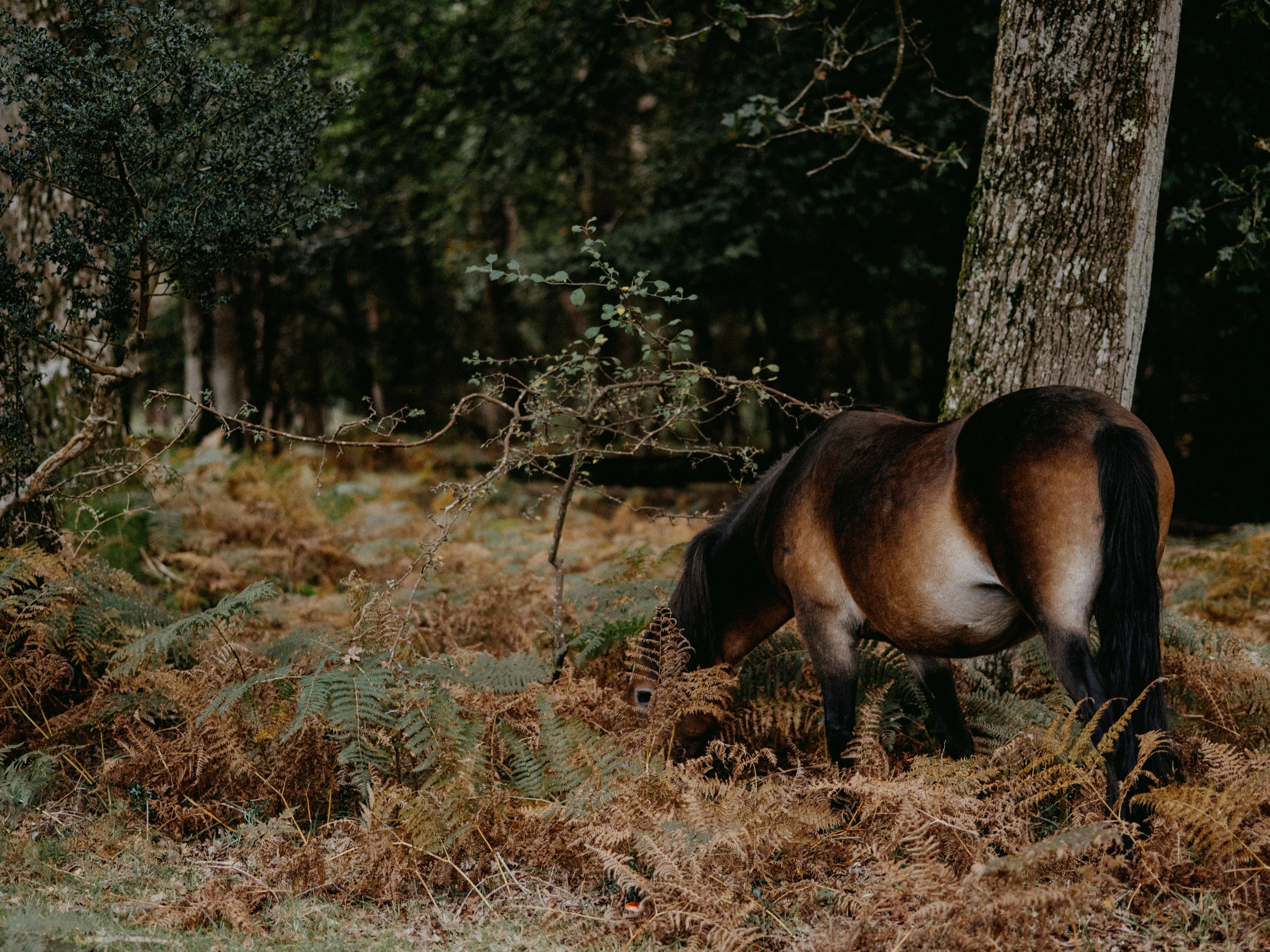 Photo by anniespratt
