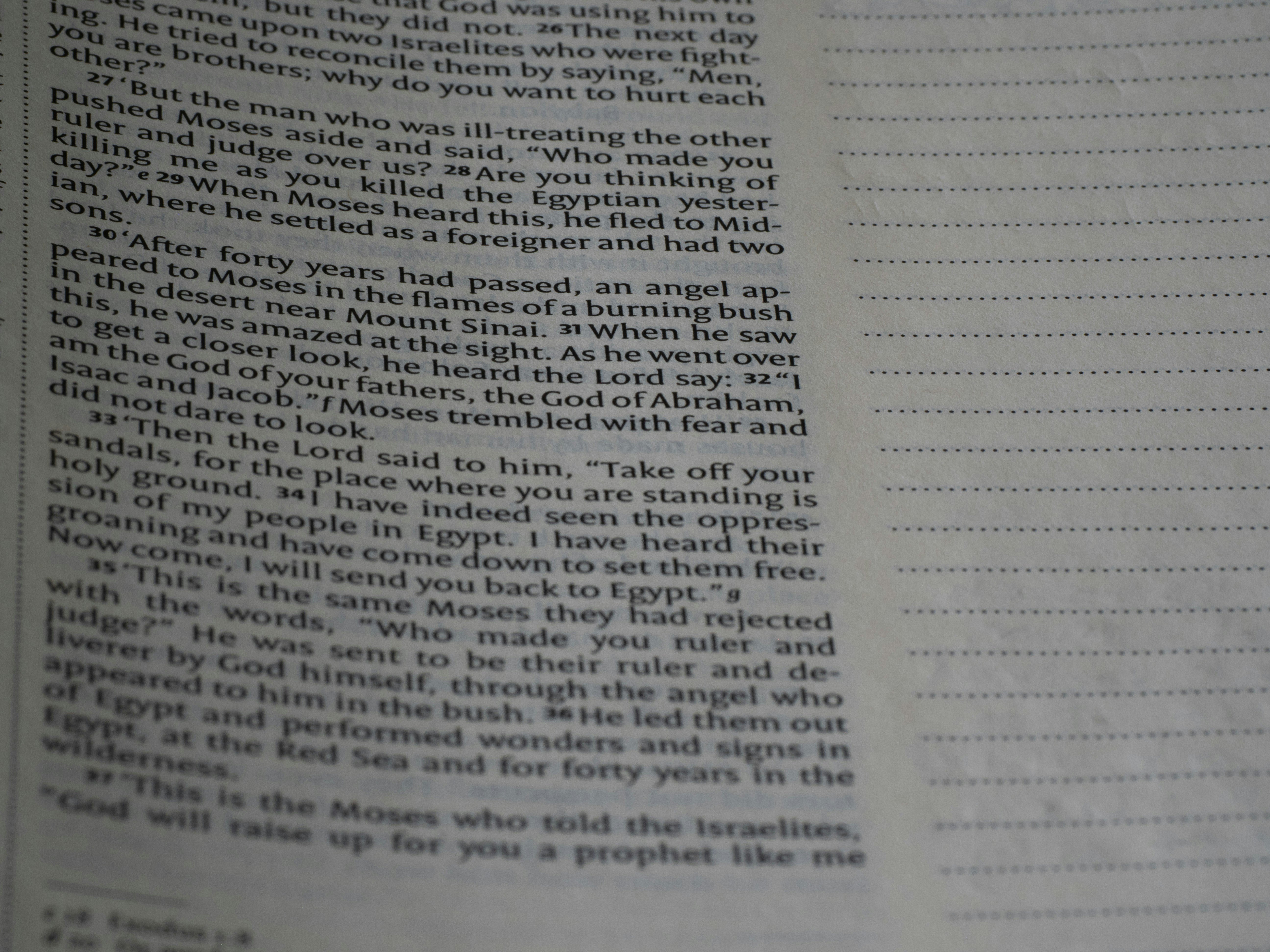 Photo by brett_jordan