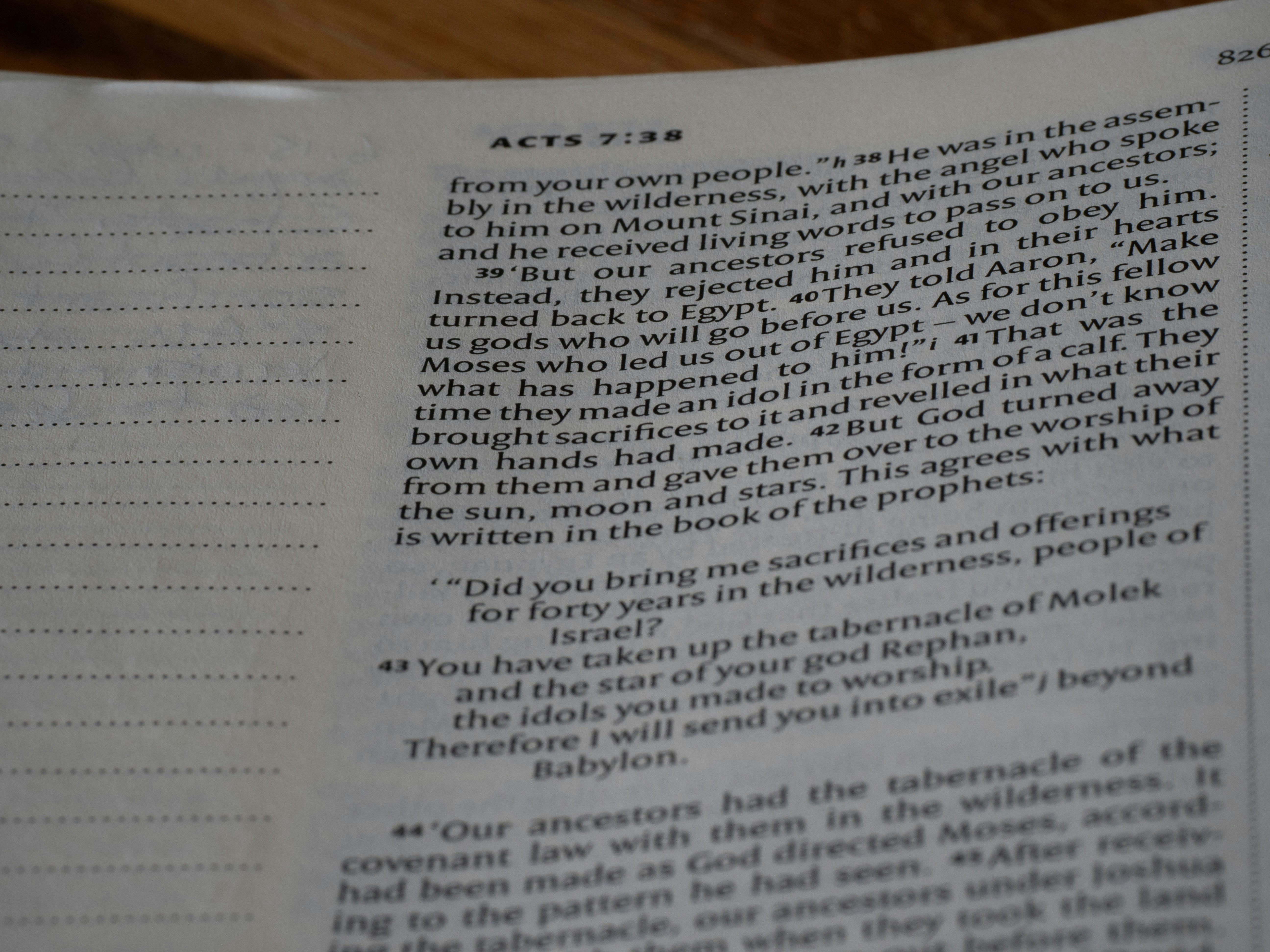 Photo by brett_jordan