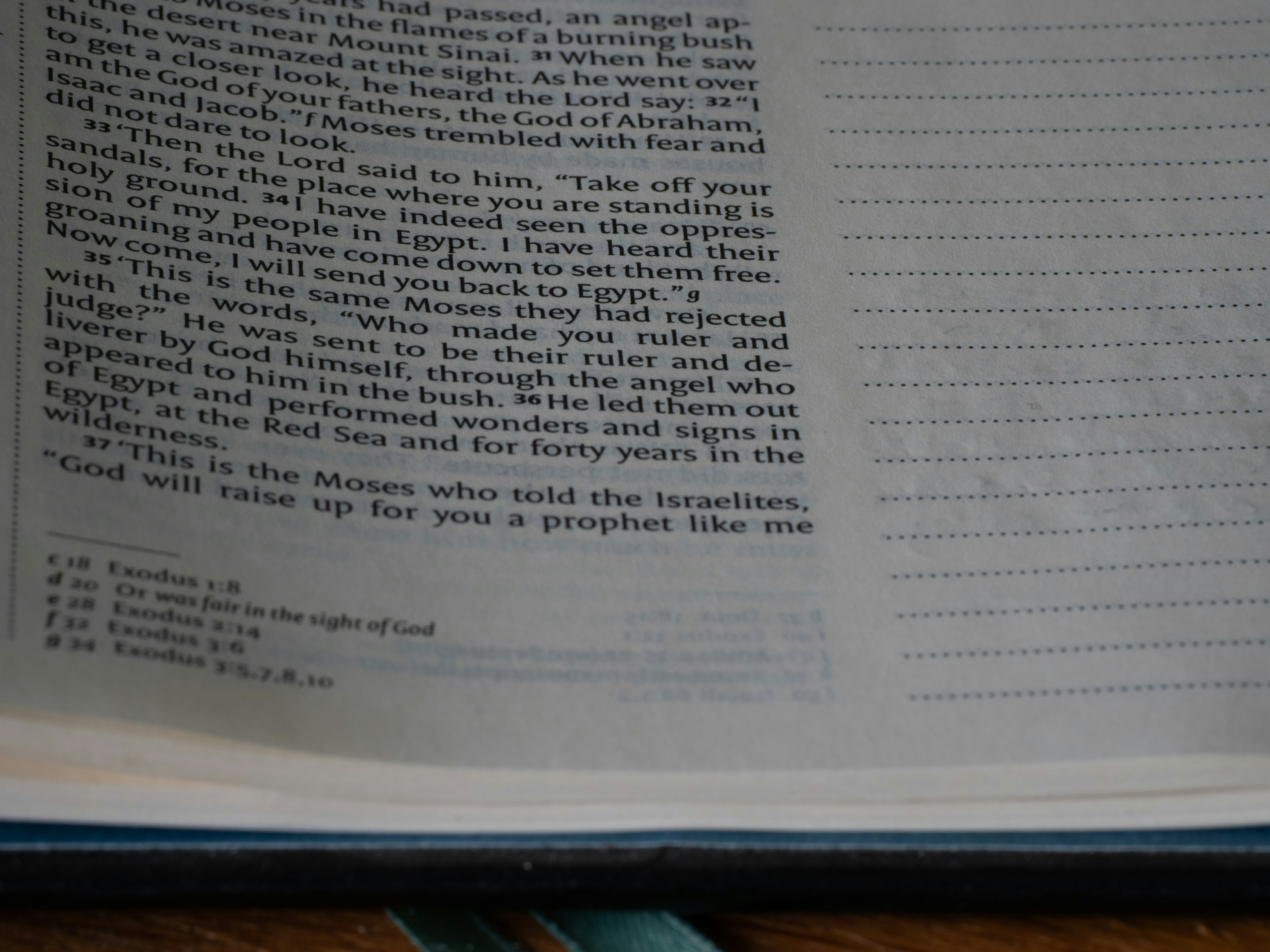 Photo by brett_jordan